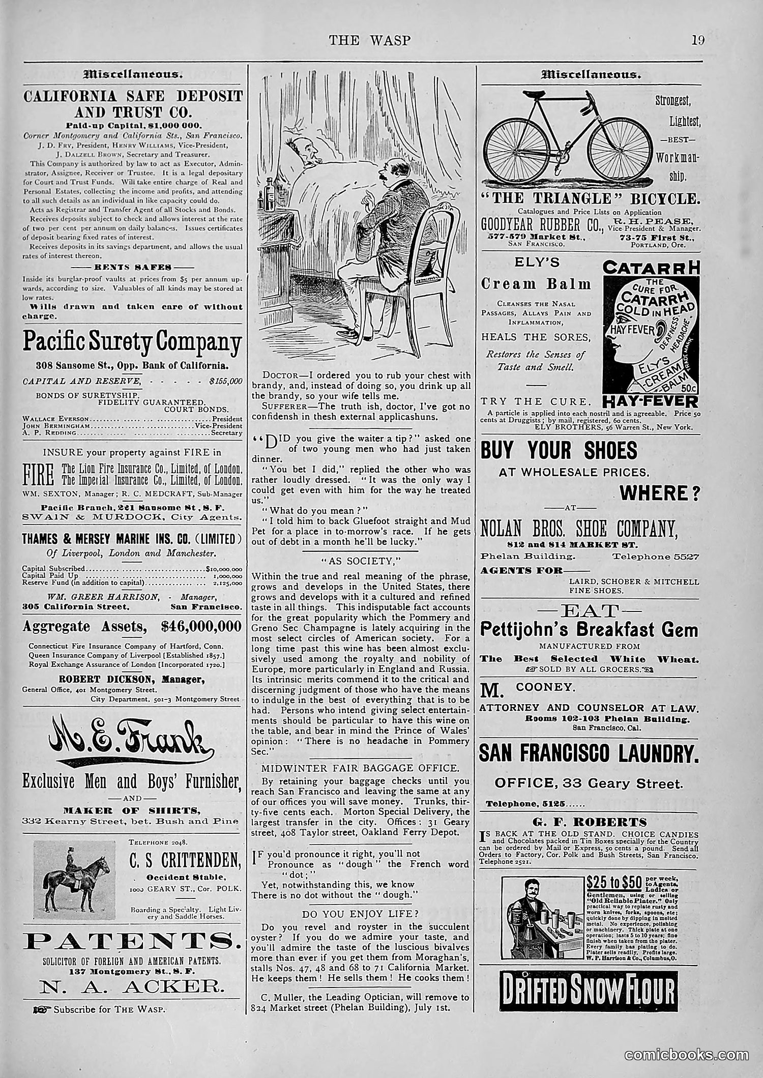 The Wasp — 1894 — page 498 of 552