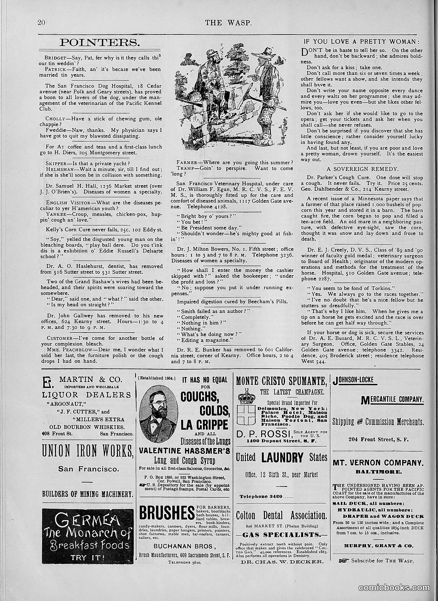 The Wasp — 1894 — page 499 of 552