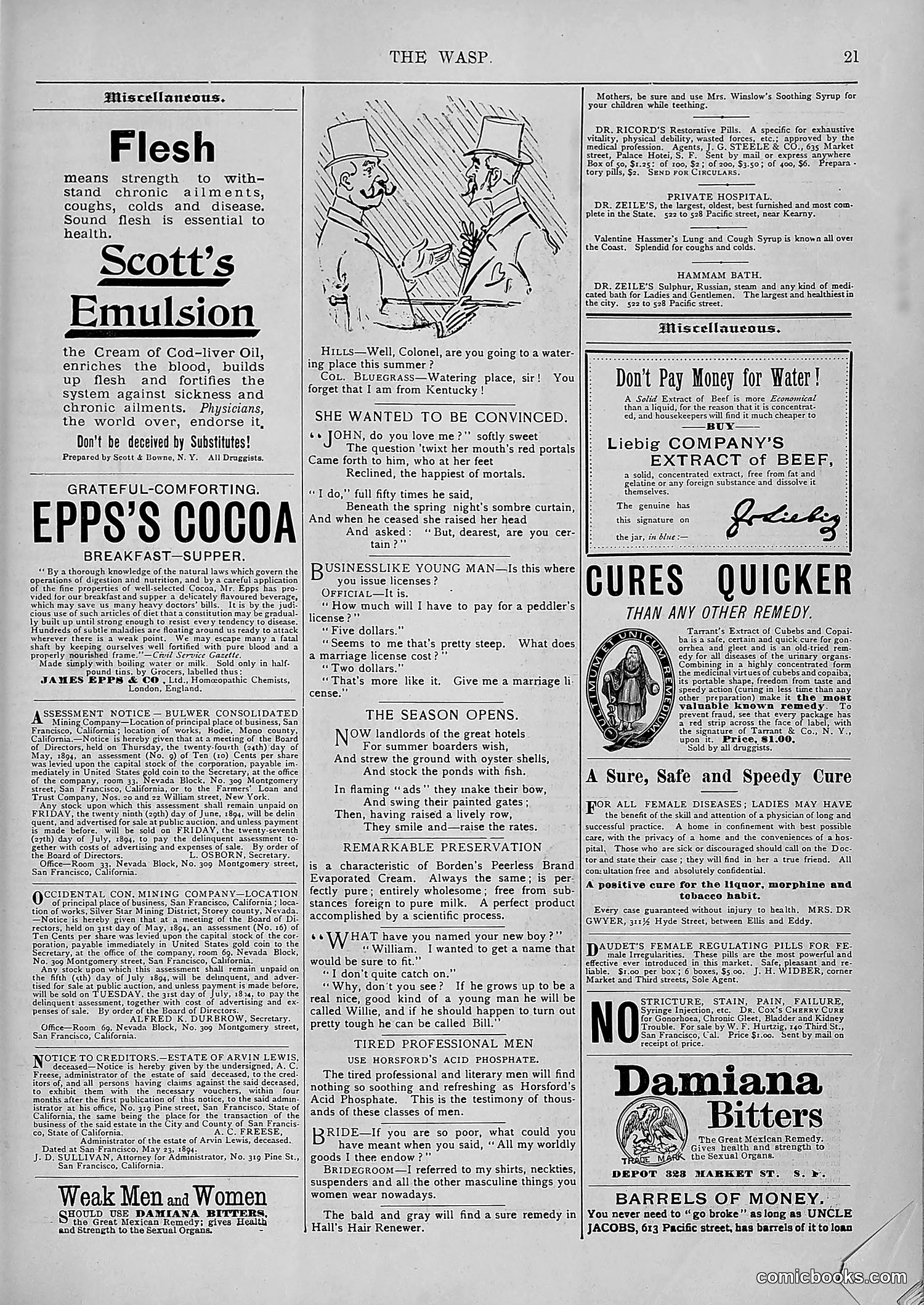The Wasp — 1894 — page 500 of 552