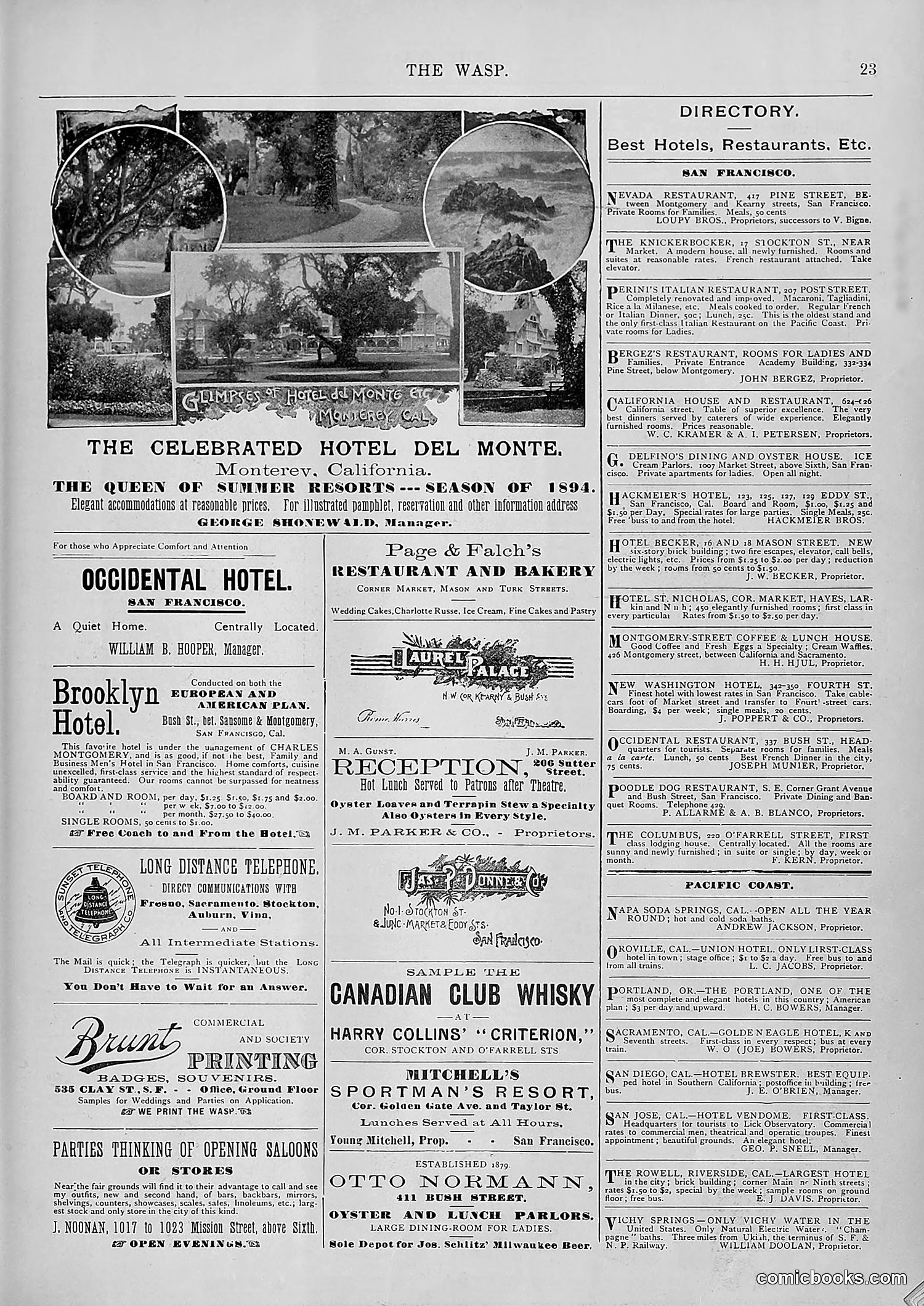 The Wasp — 1894 — page 502 of 552