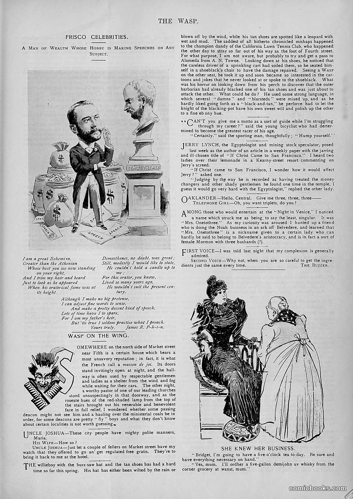 The Wasp — 1894 — page 506 of 552
