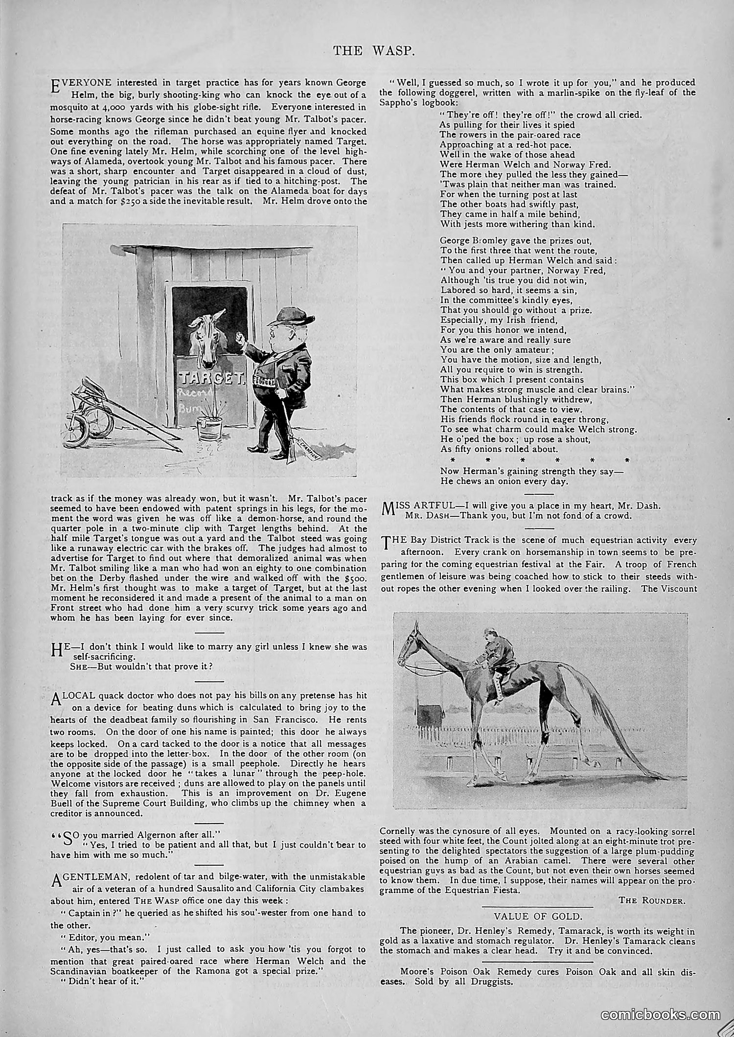 The Wasp — 1894 — page 508 of 552