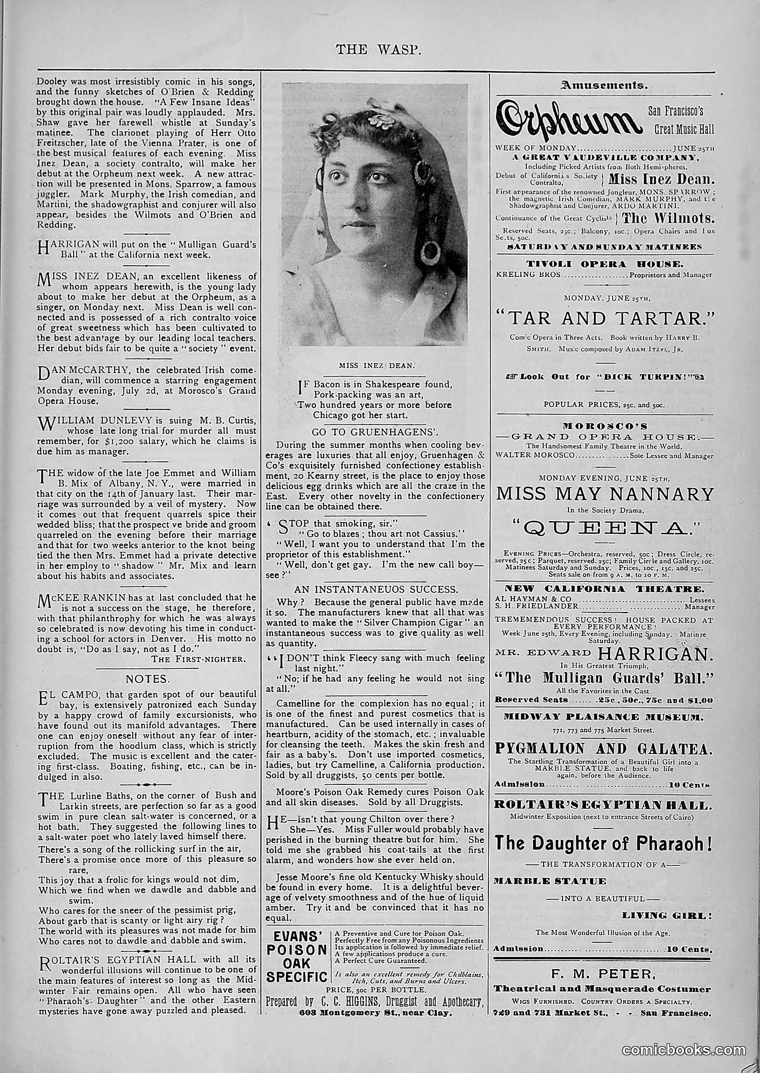 The Wasp — 1894 — page 510 of 552