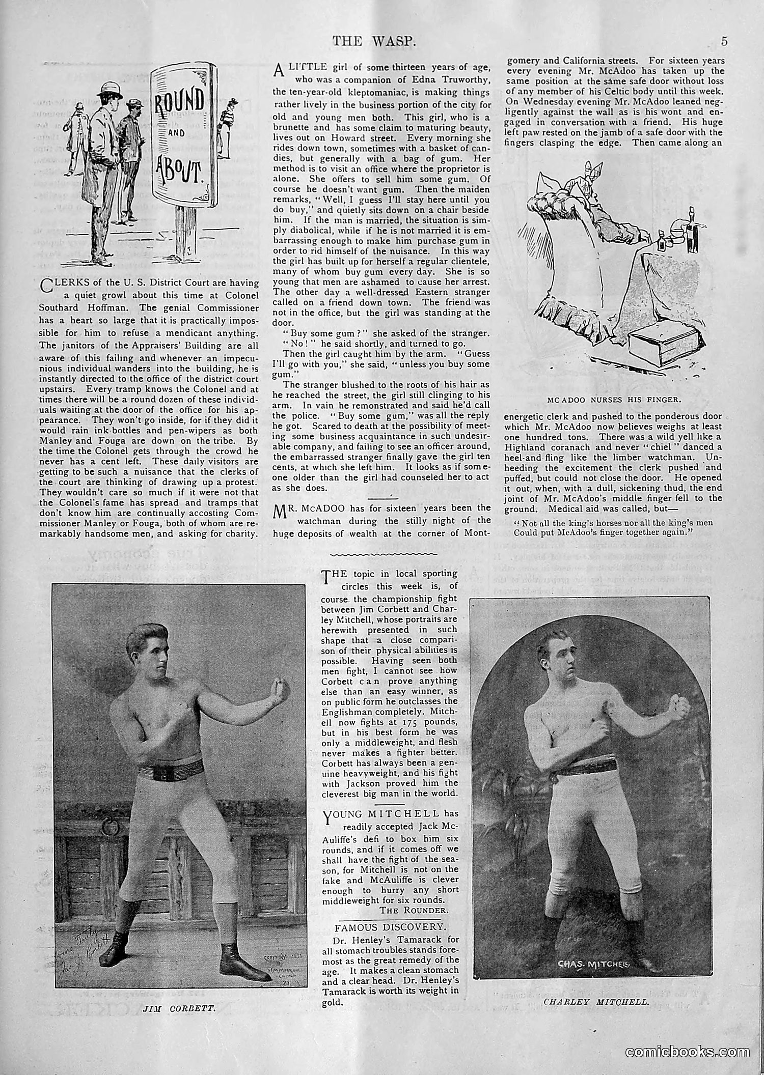 The Wasp — 1894 — page 52 of 552