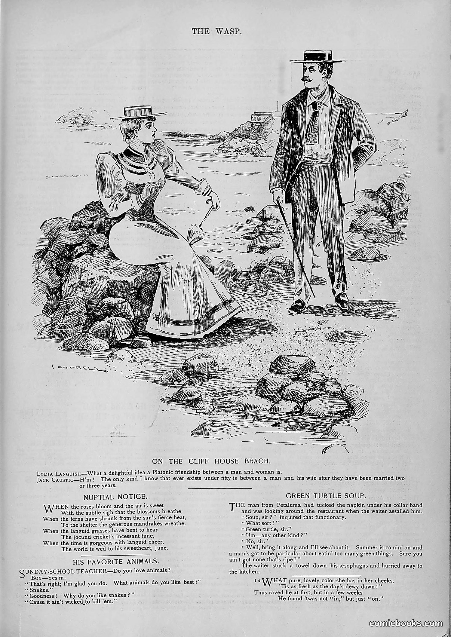 The Wasp — 1894 — page 512 of 552