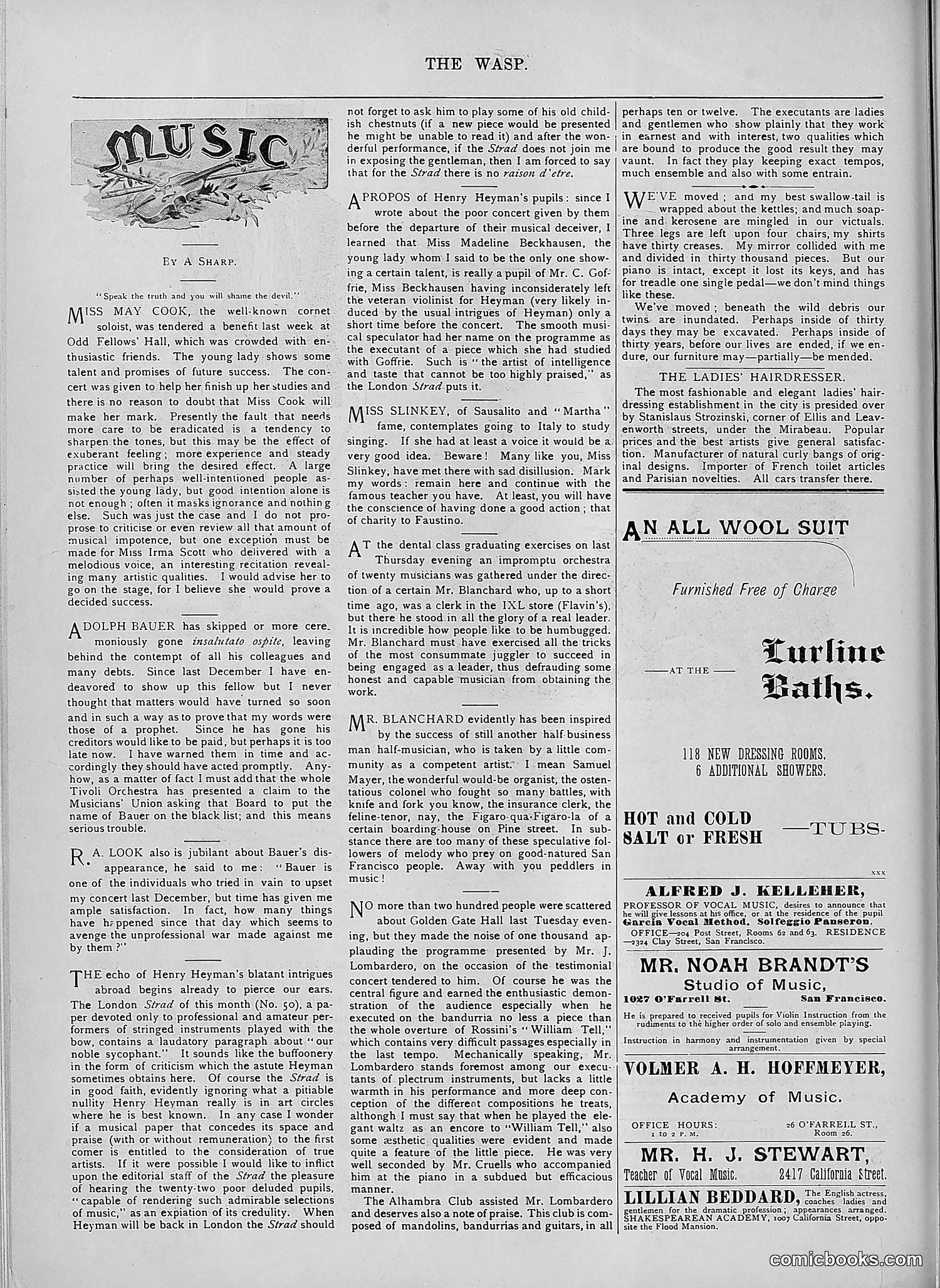 The Wasp — 1894 — page 513 of 552