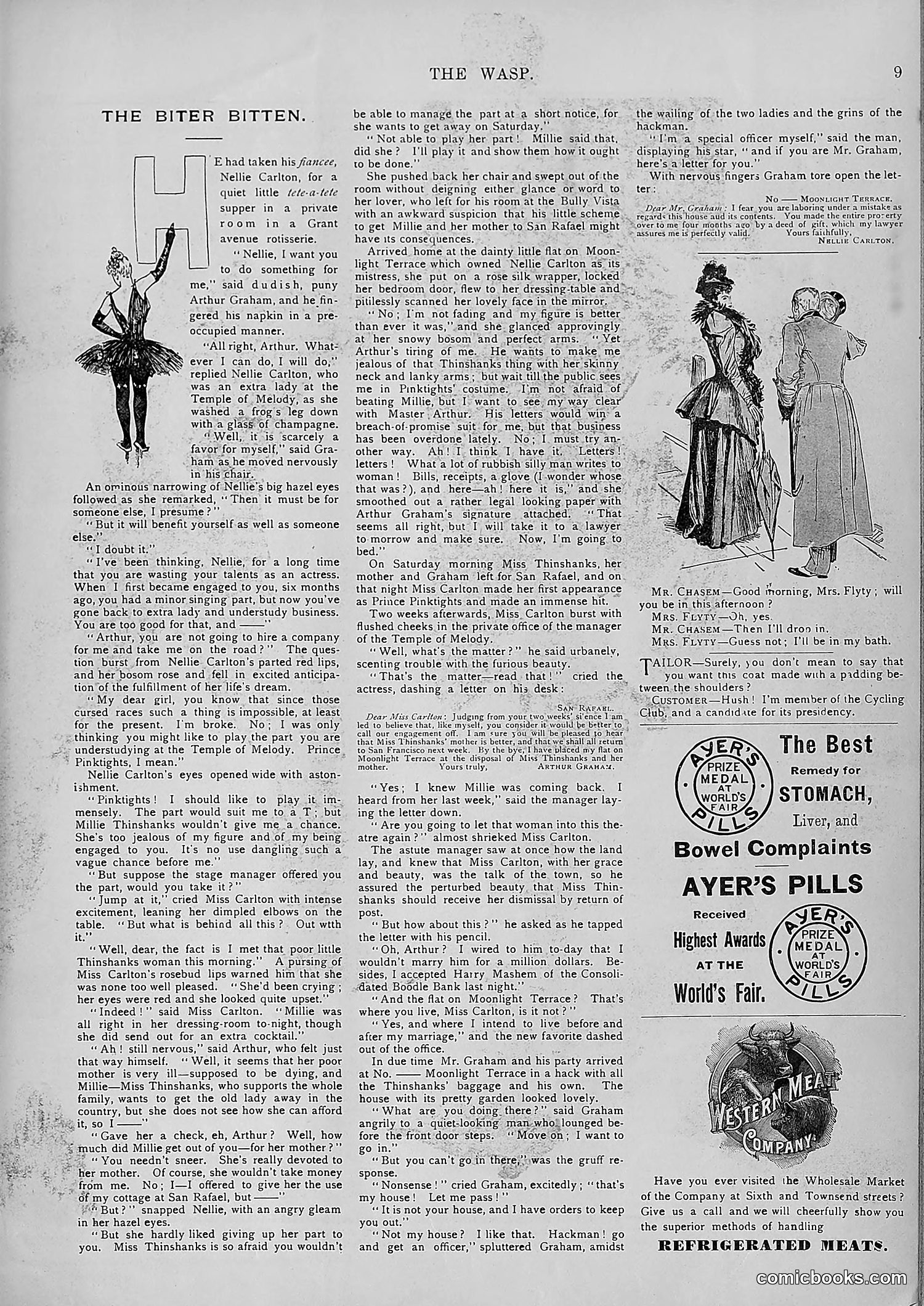 The Wasp — 1894 — page 514 of 552