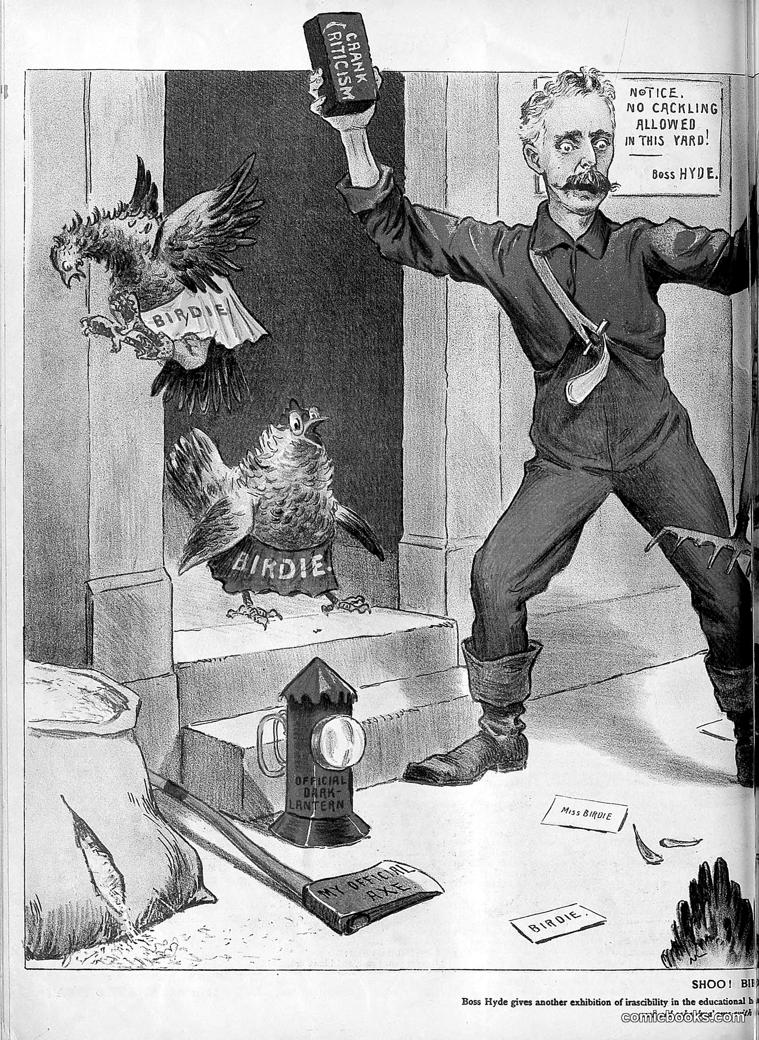 The Wasp — 1894 — page 515 of 552