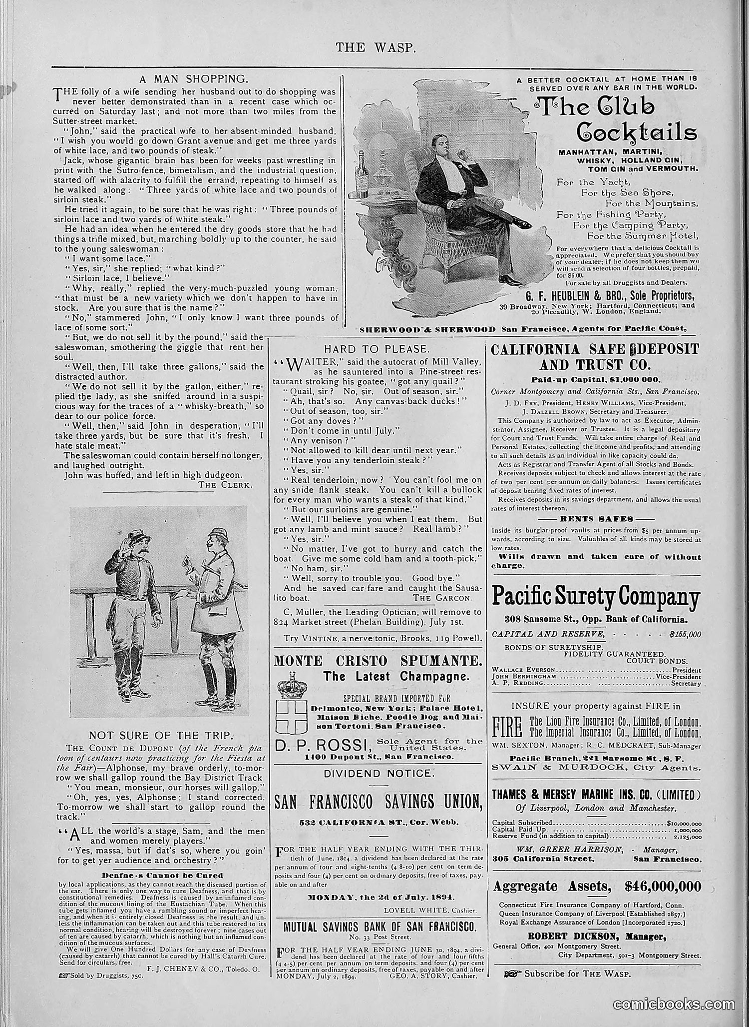 The Wasp — 1894 — page 521 of 552