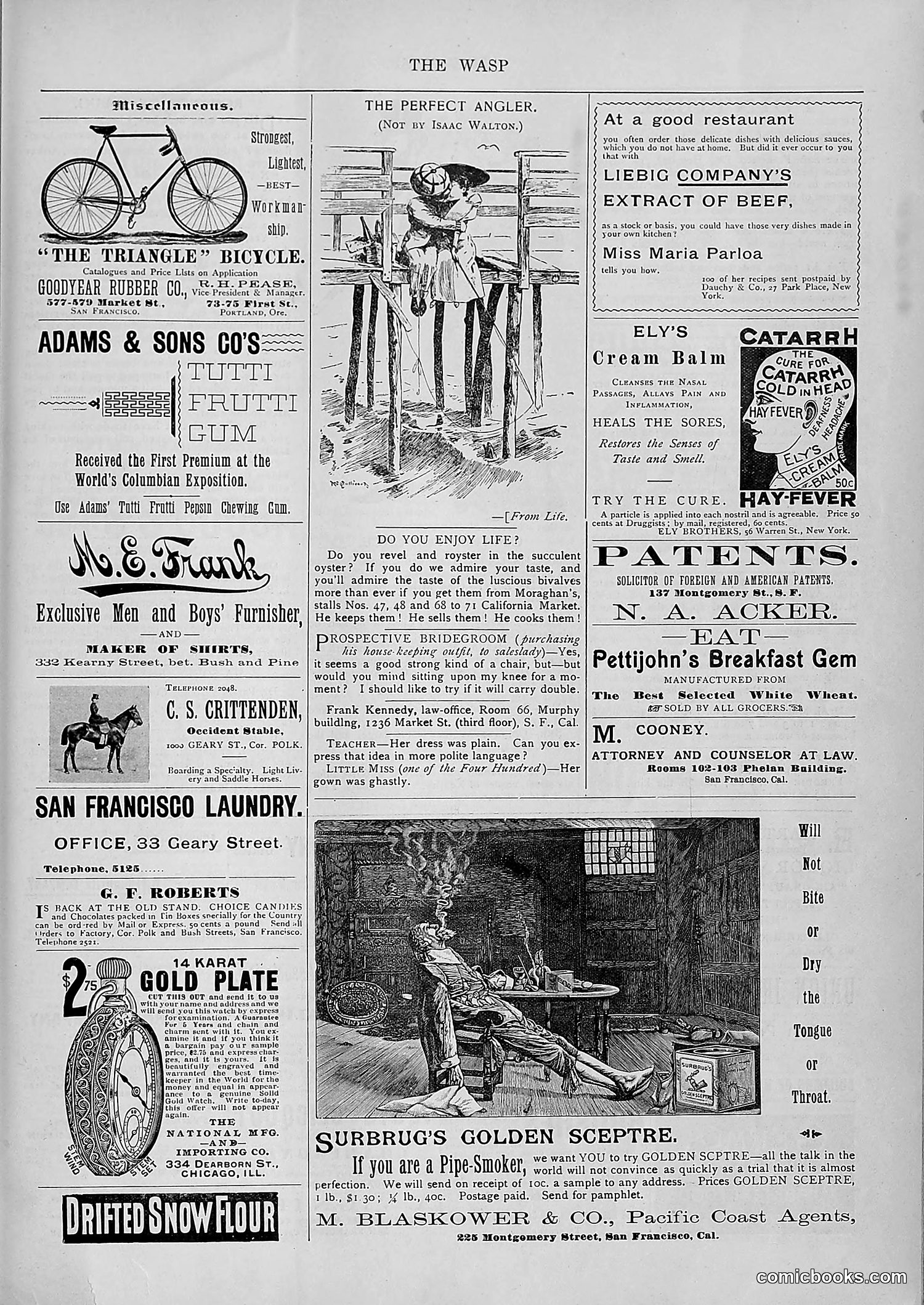 The Wasp — 1894 — page 522 of 552