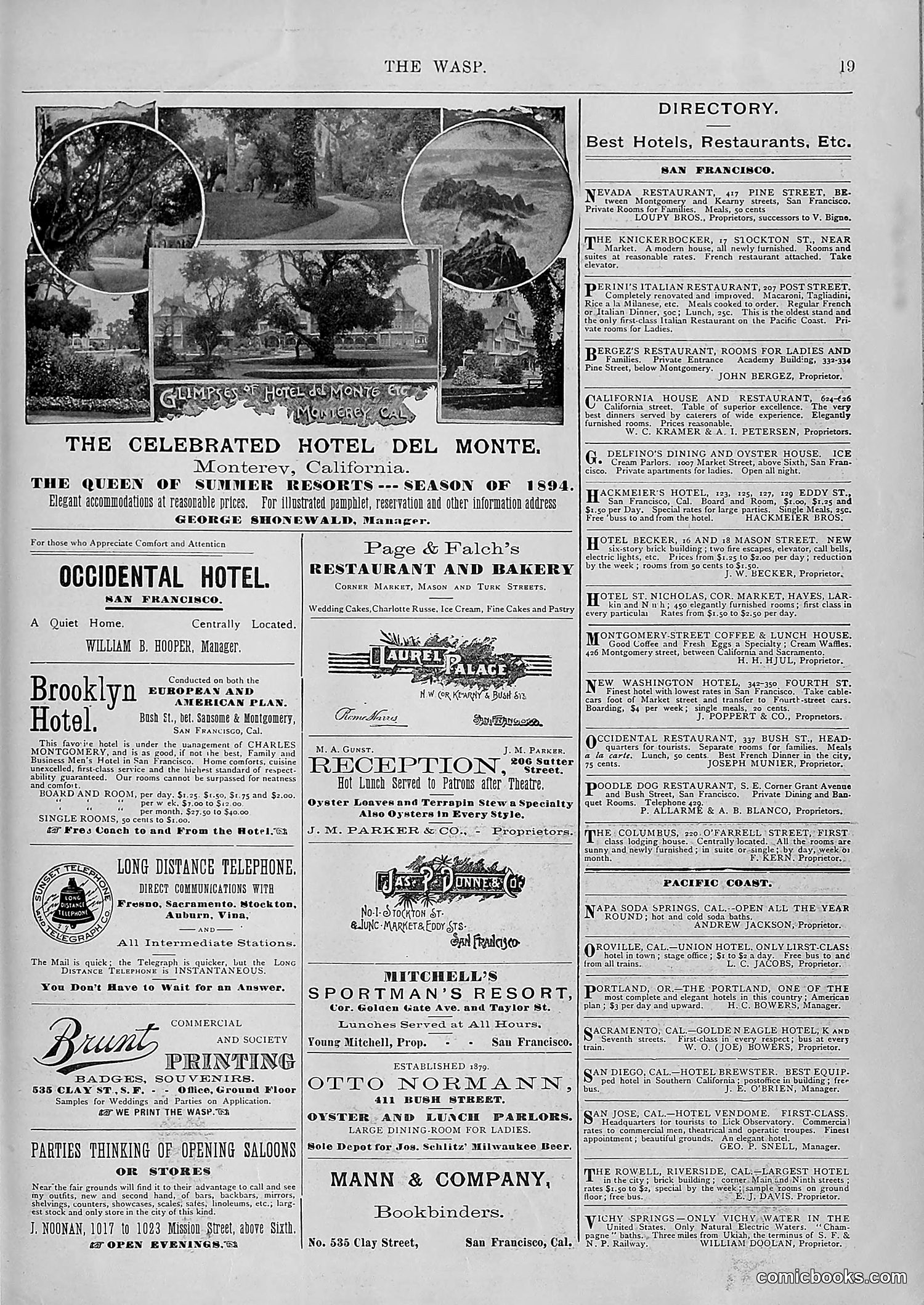 The Wasp — 1894 — page 526 of 552