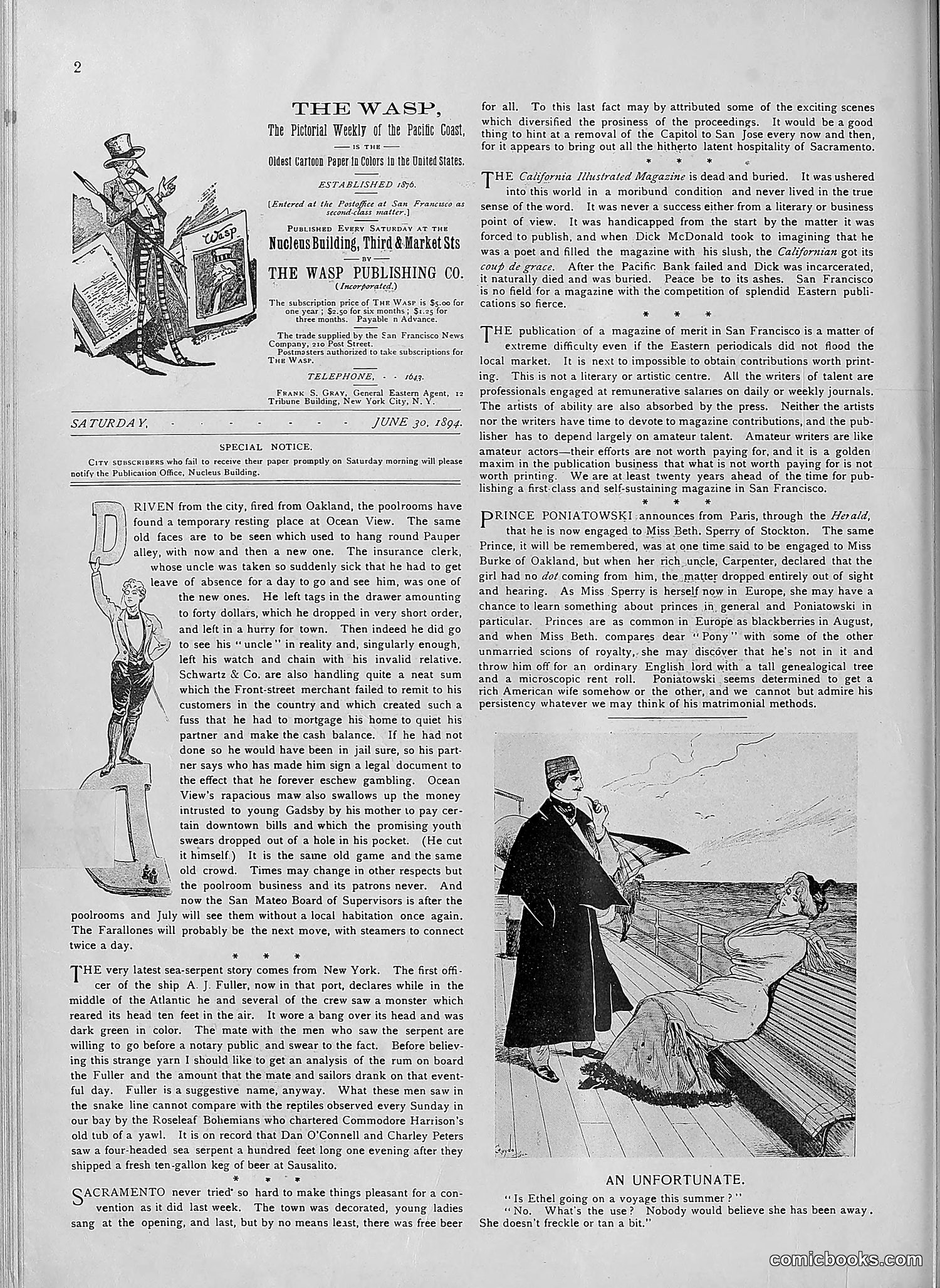 The Wasp — 1894 — page 529 of 552