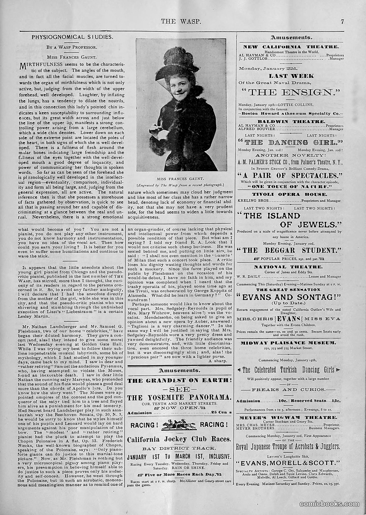 The Wasp — 1894 — page 54 of 552