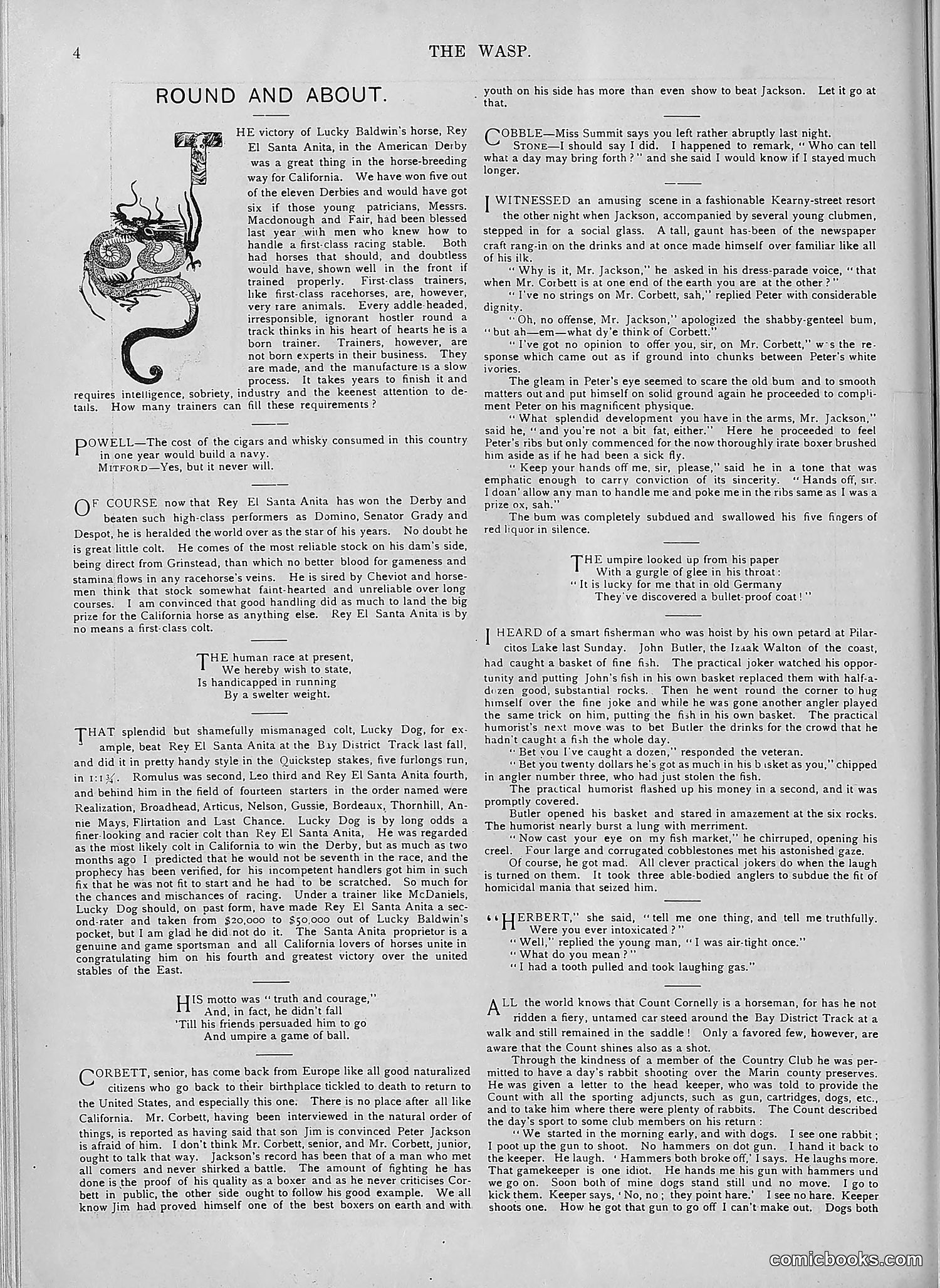 The Wasp — 1894 — page 531 of 552