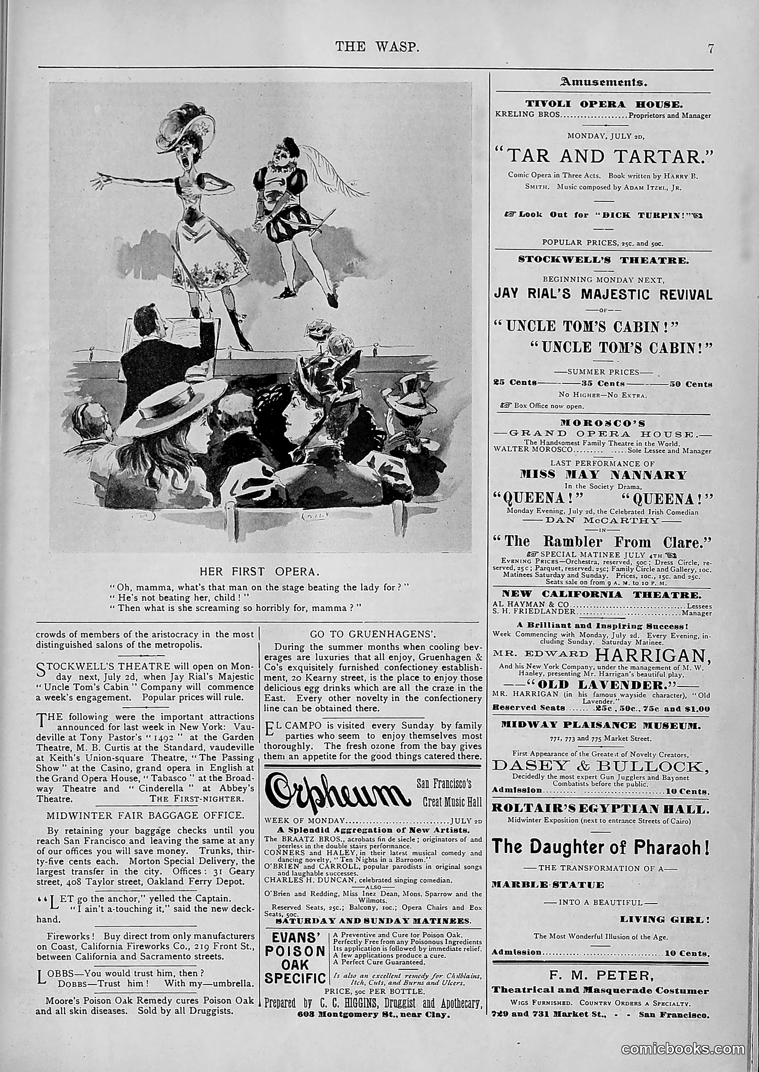 The Wasp — 1894 — page 534 of 552