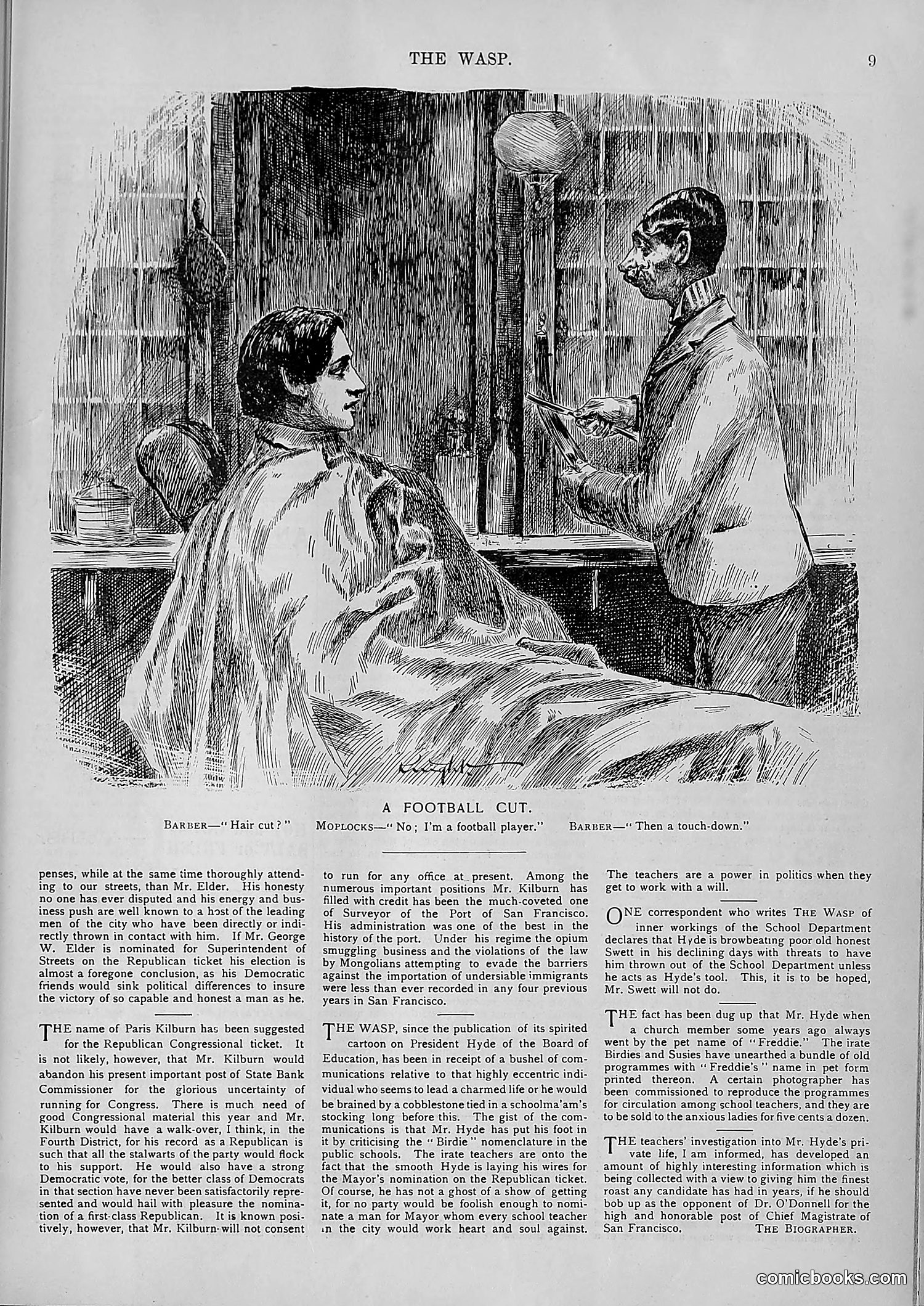 The Wasp — 1894 — page 536 of 552