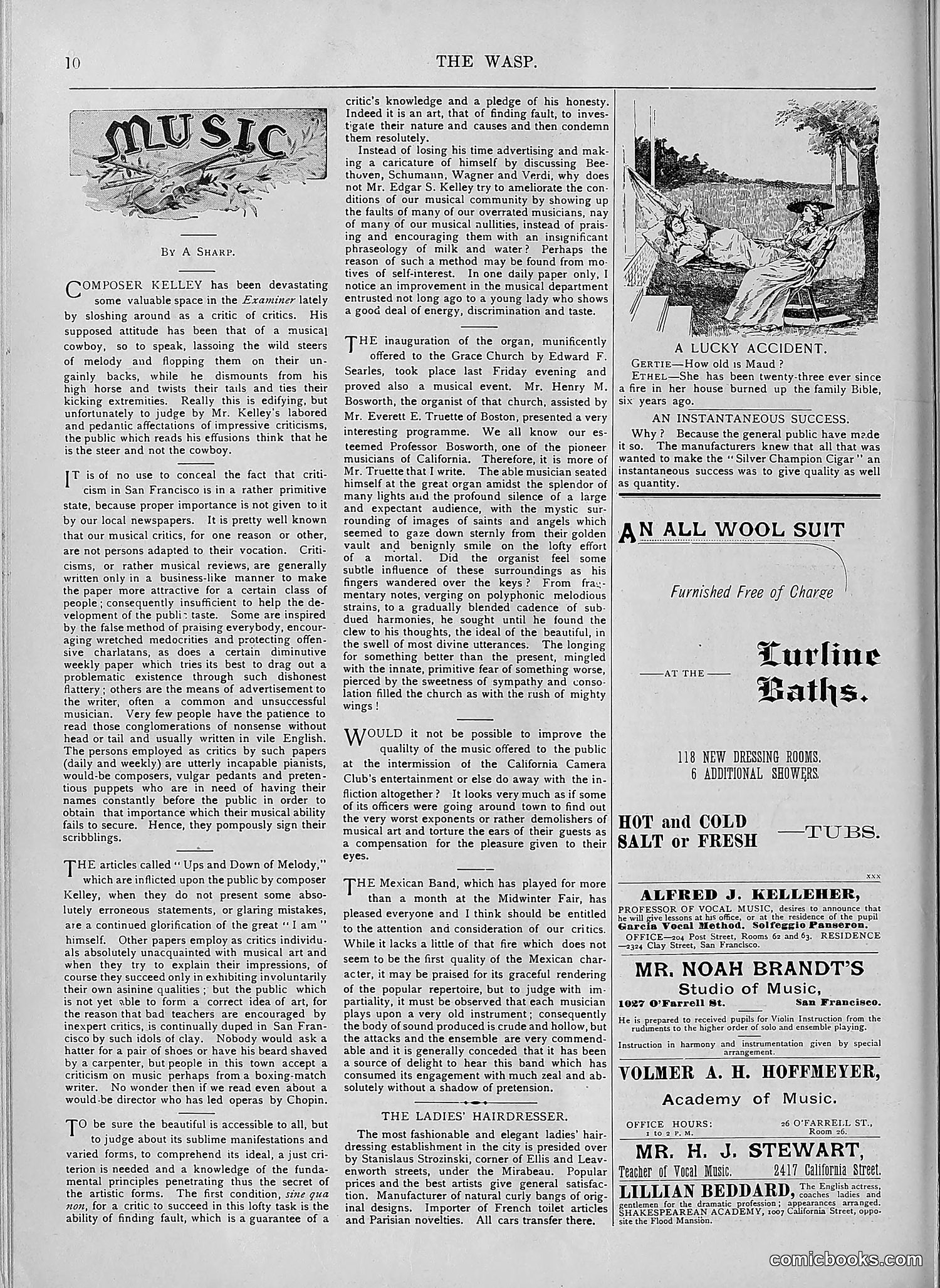 The Wasp — 1894 — page 537 of 552