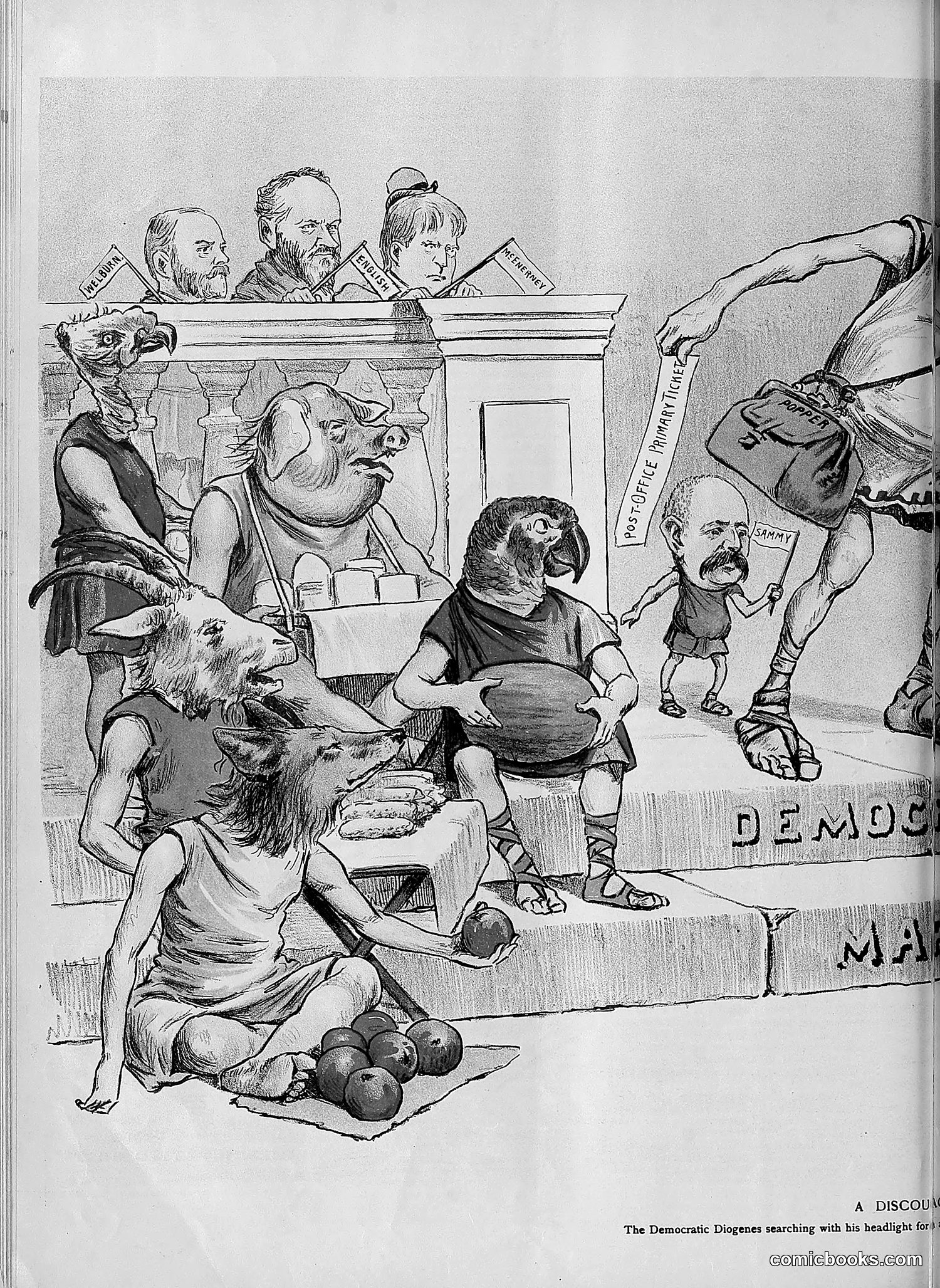 The Wasp — 1894 — page 539 of 552