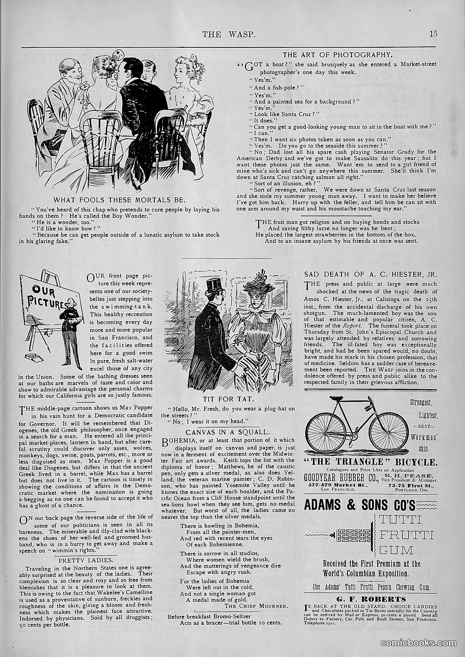 The Wasp — 1894 — page 542 of 552