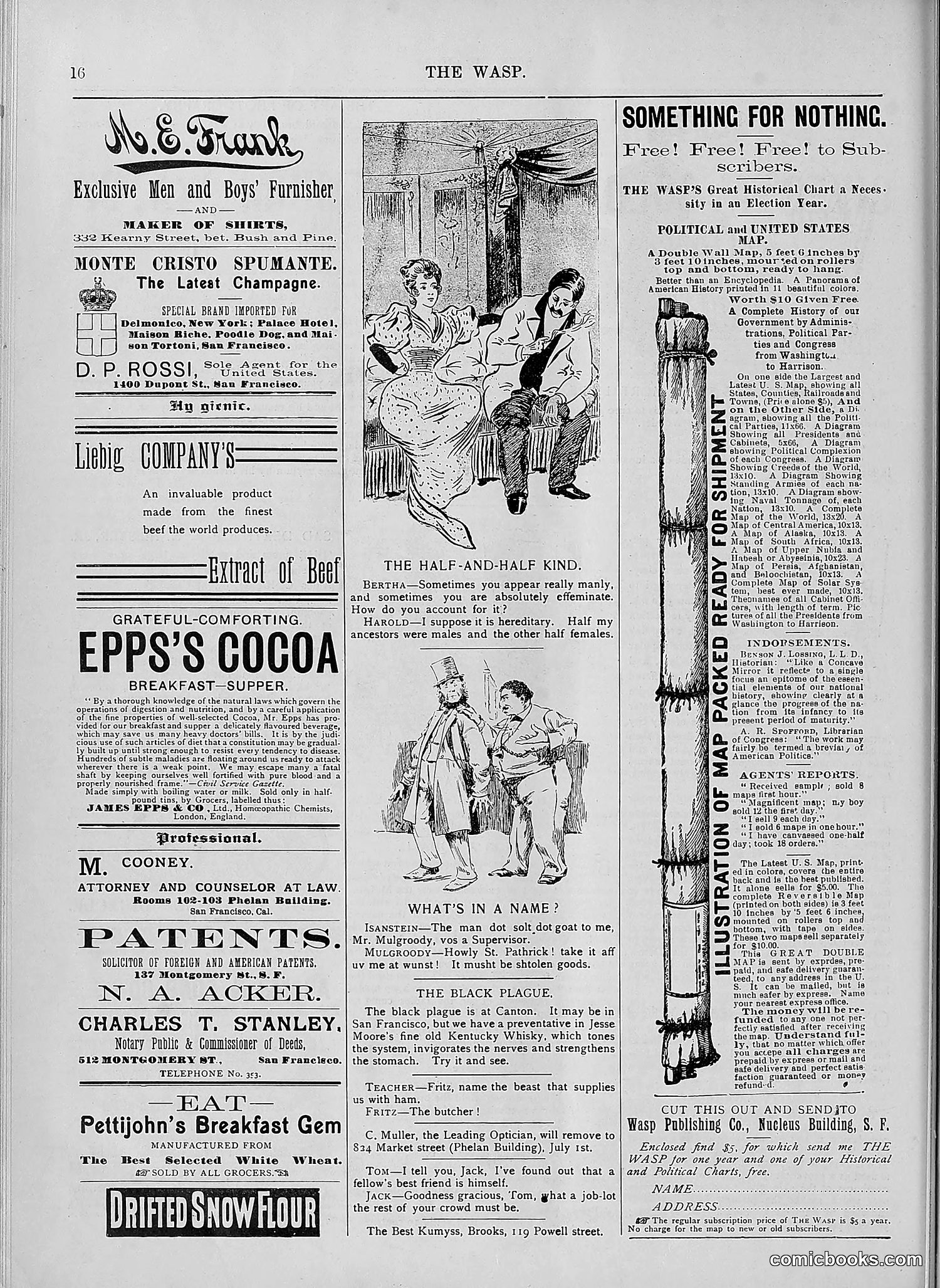 The Wasp — 1894 — page 543 of 552