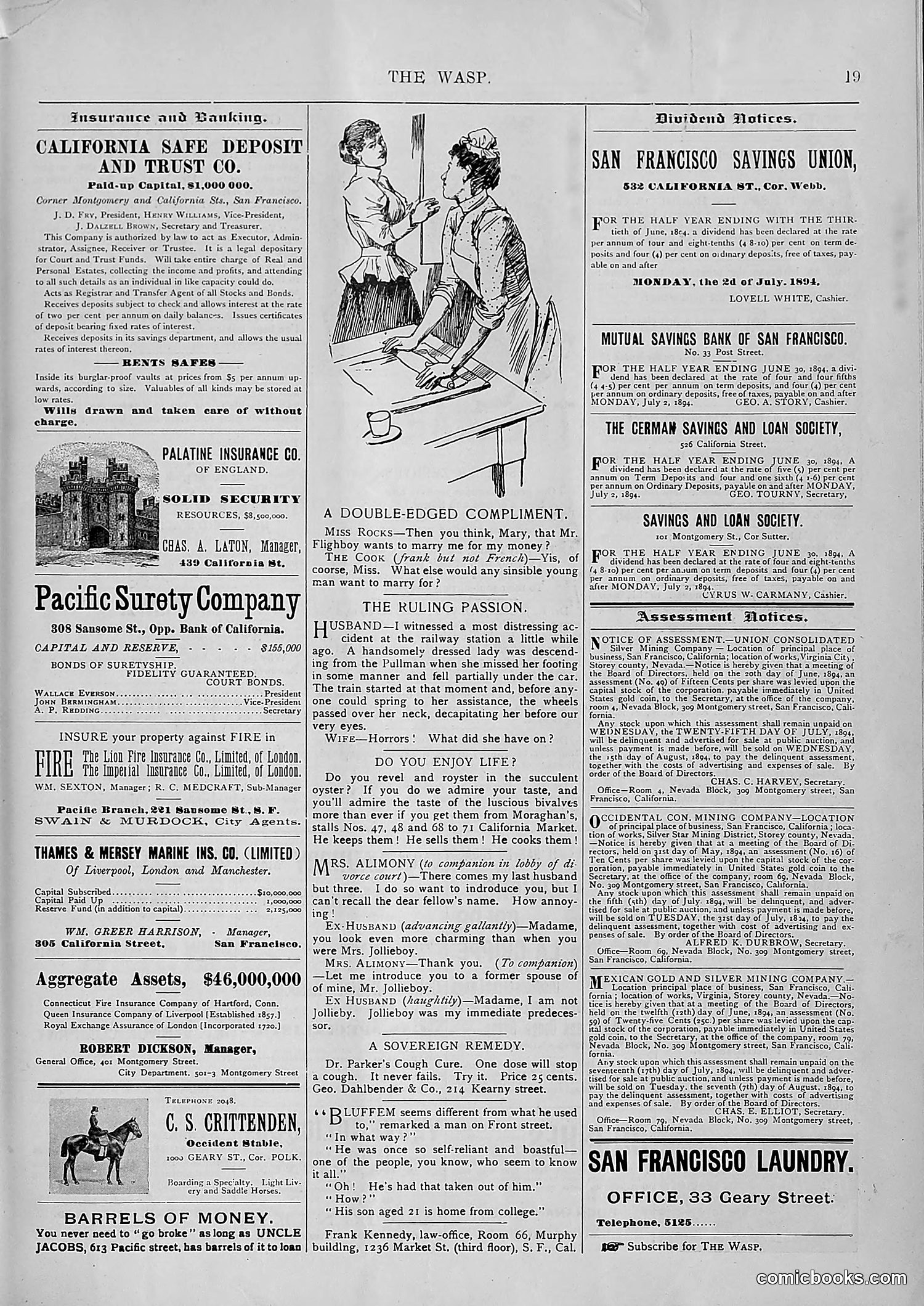 The Wasp — 1894 — page 546 of 552