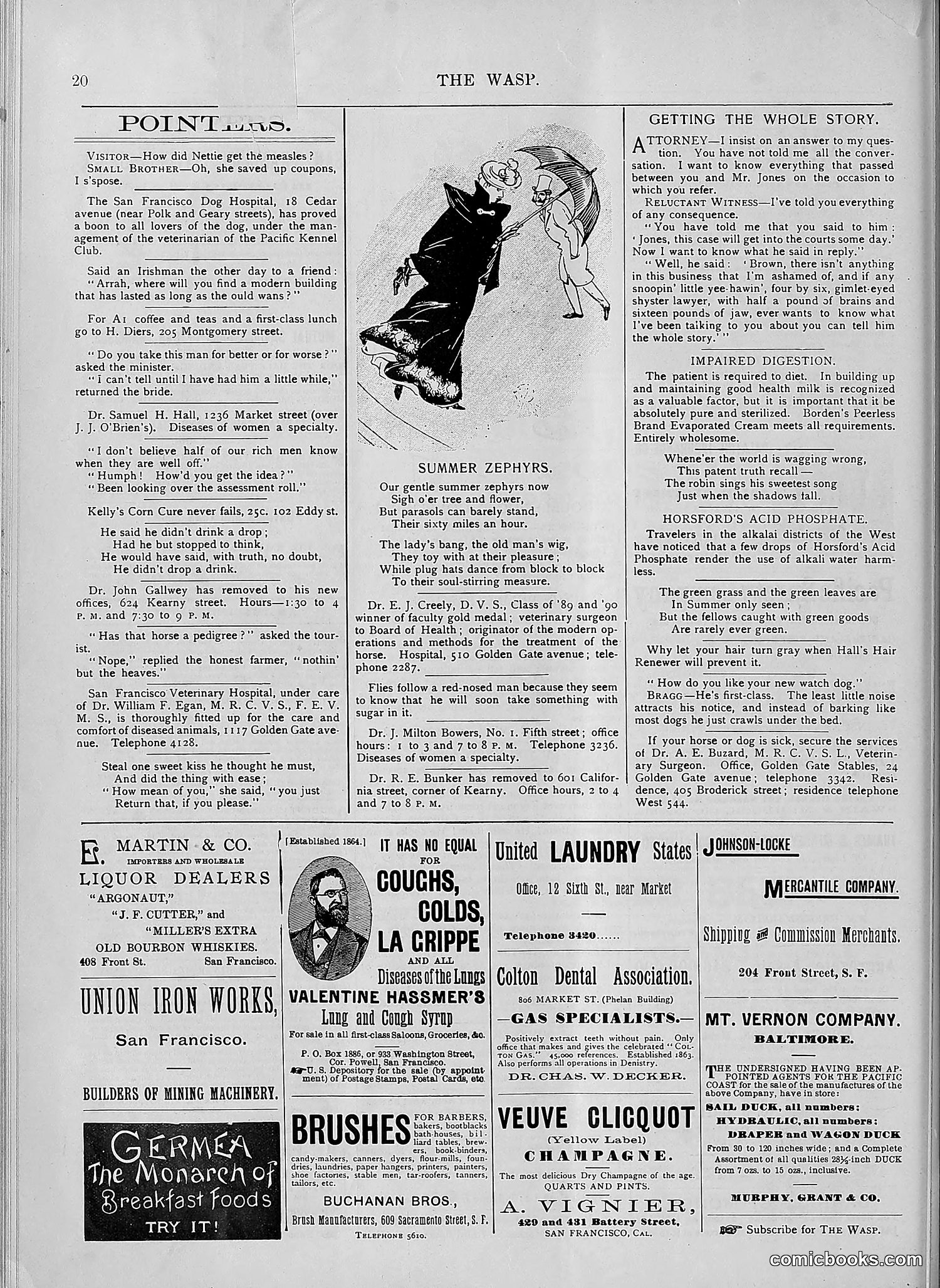 The Wasp — 1894 — page 547 of 552