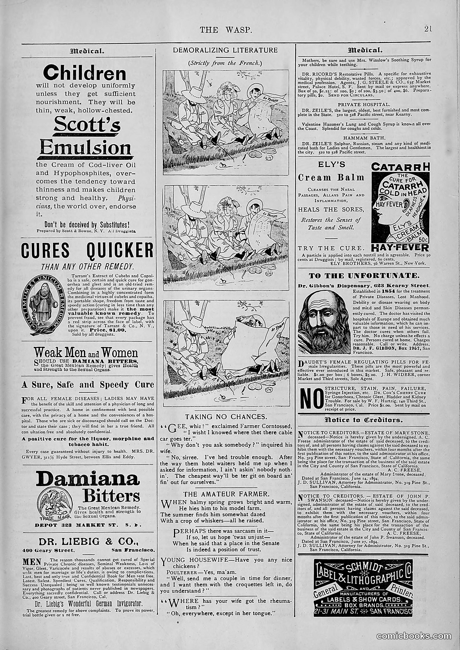 The Wasp — 1894 — page 548 of 552