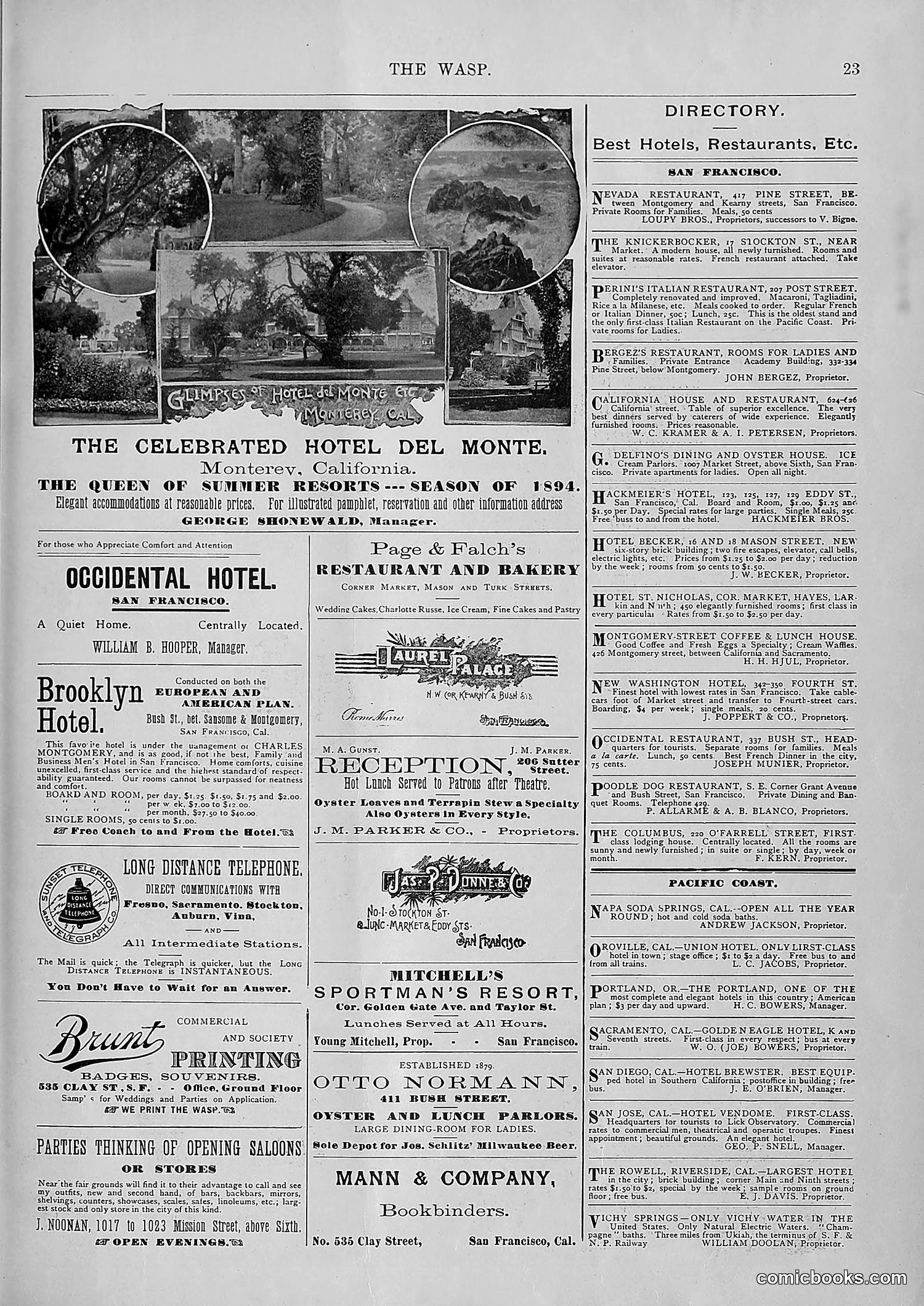 The Wasp — 1894 — page 550 of 552