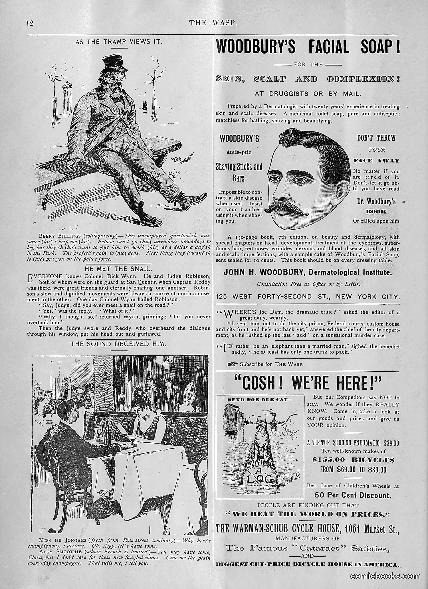 The Wasp — 1894 — page 59 of 552