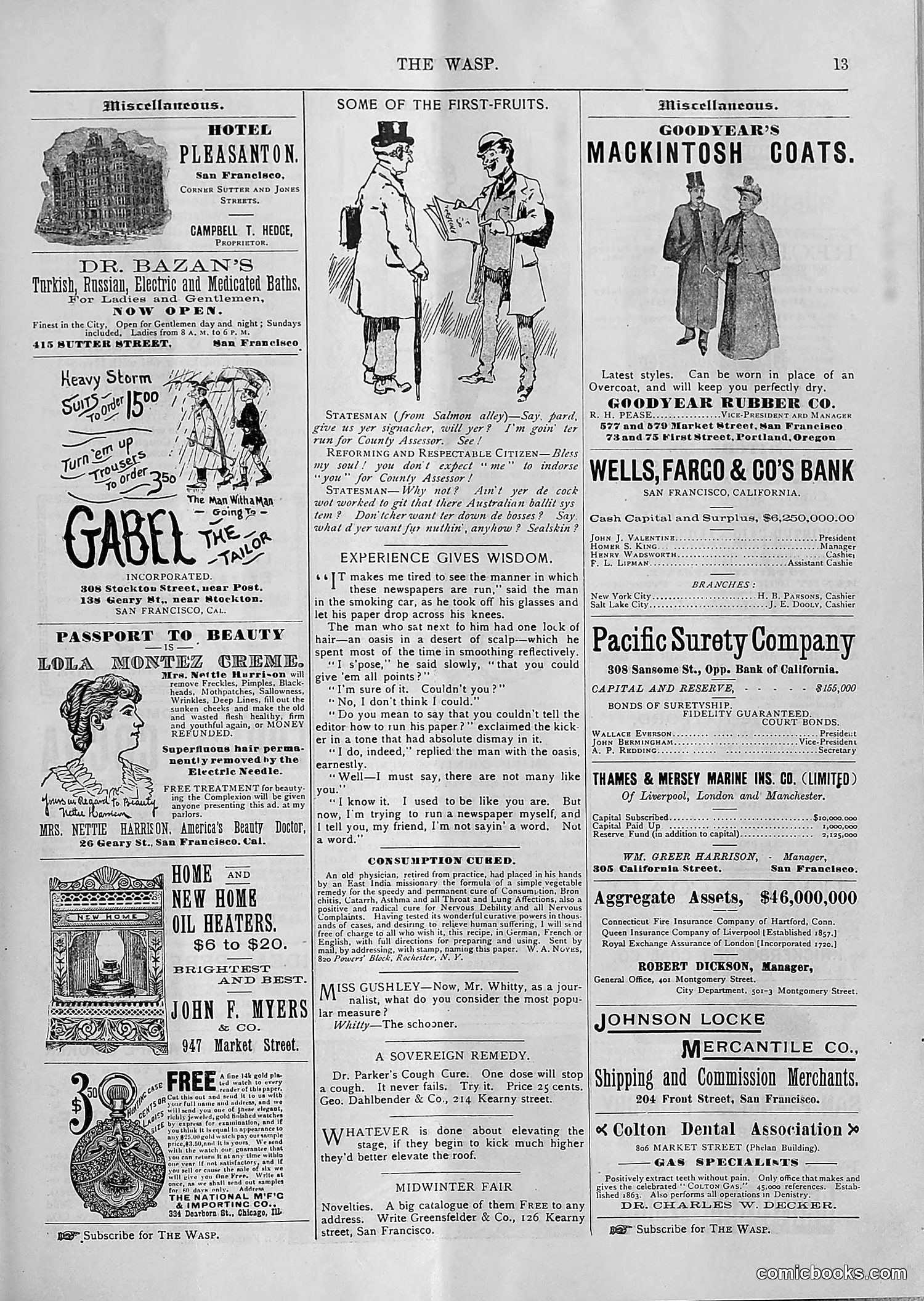 The Wasp — 1894 — page 60 of 552