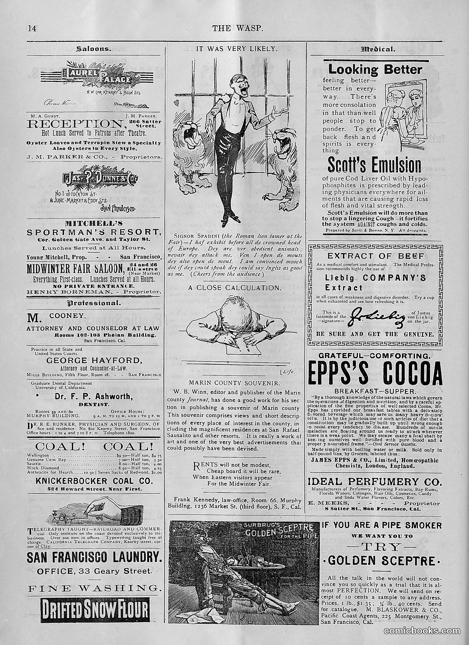 The Wasp — 1894 — page 61 of 552