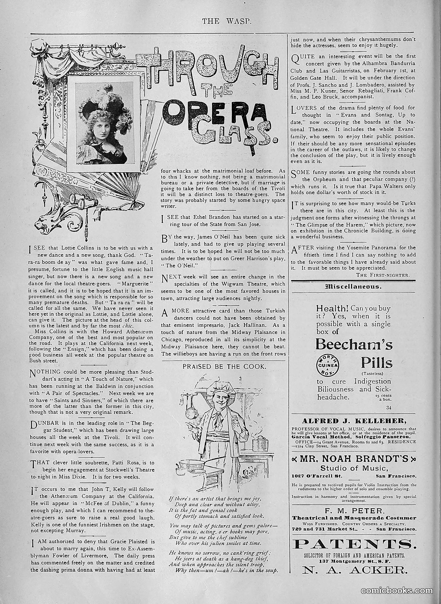 The Wasp — 1894 — page 73 of 552