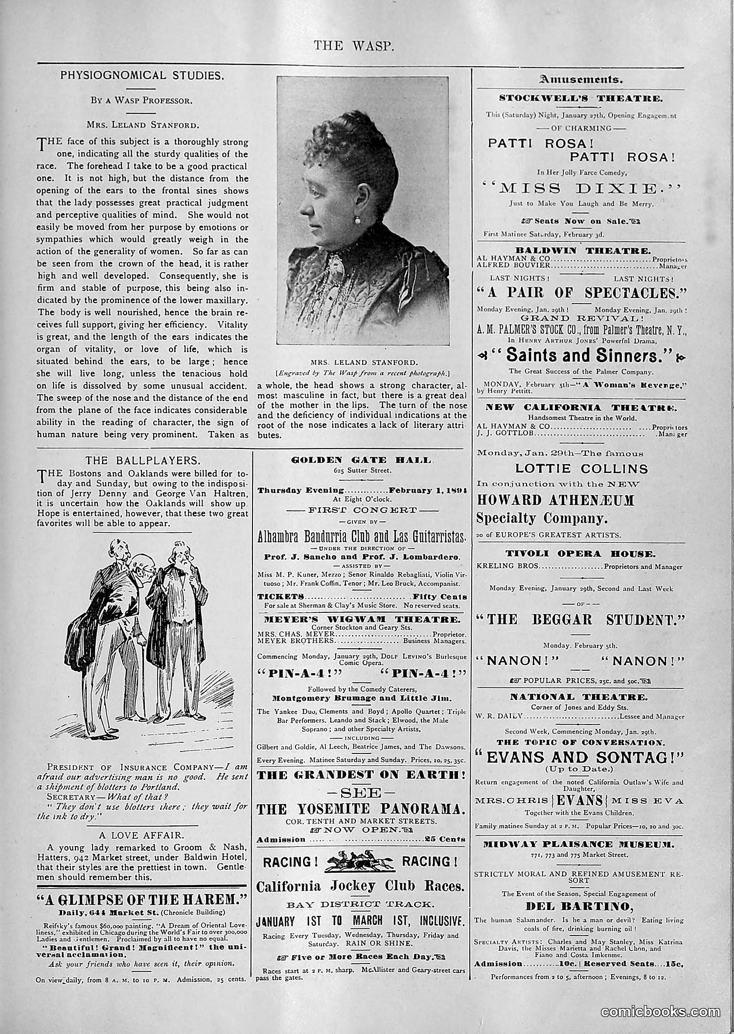 The Wasp — 1894 — page 74 of 552