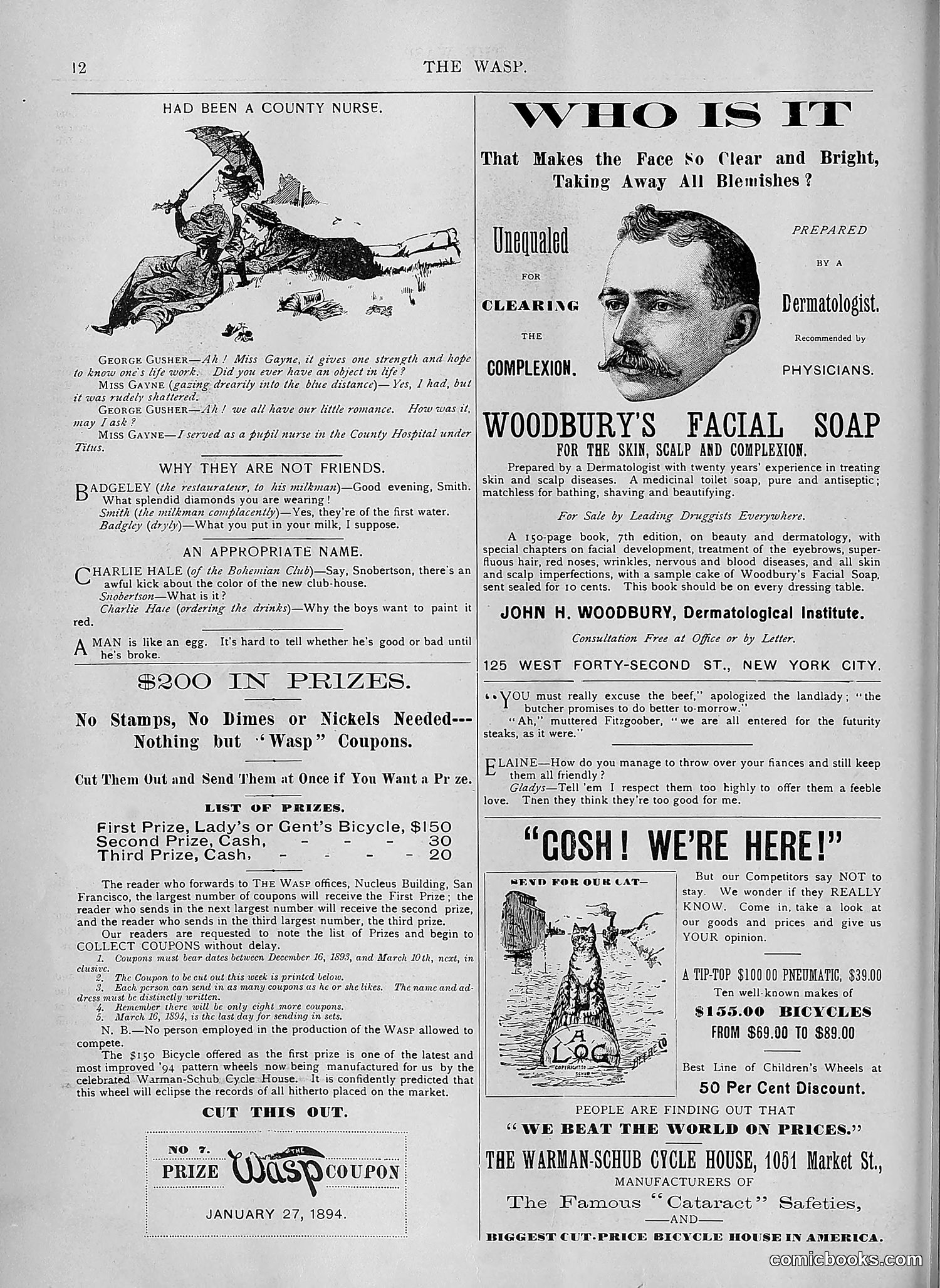 The Wasp — 1894 — page 81 of 552
