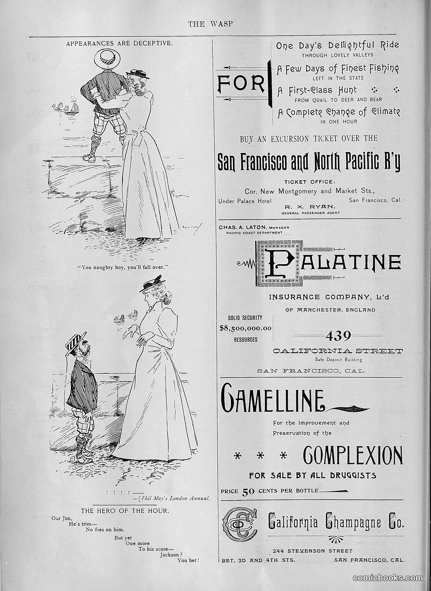 The Wasp — 1894 — page 83 of 552