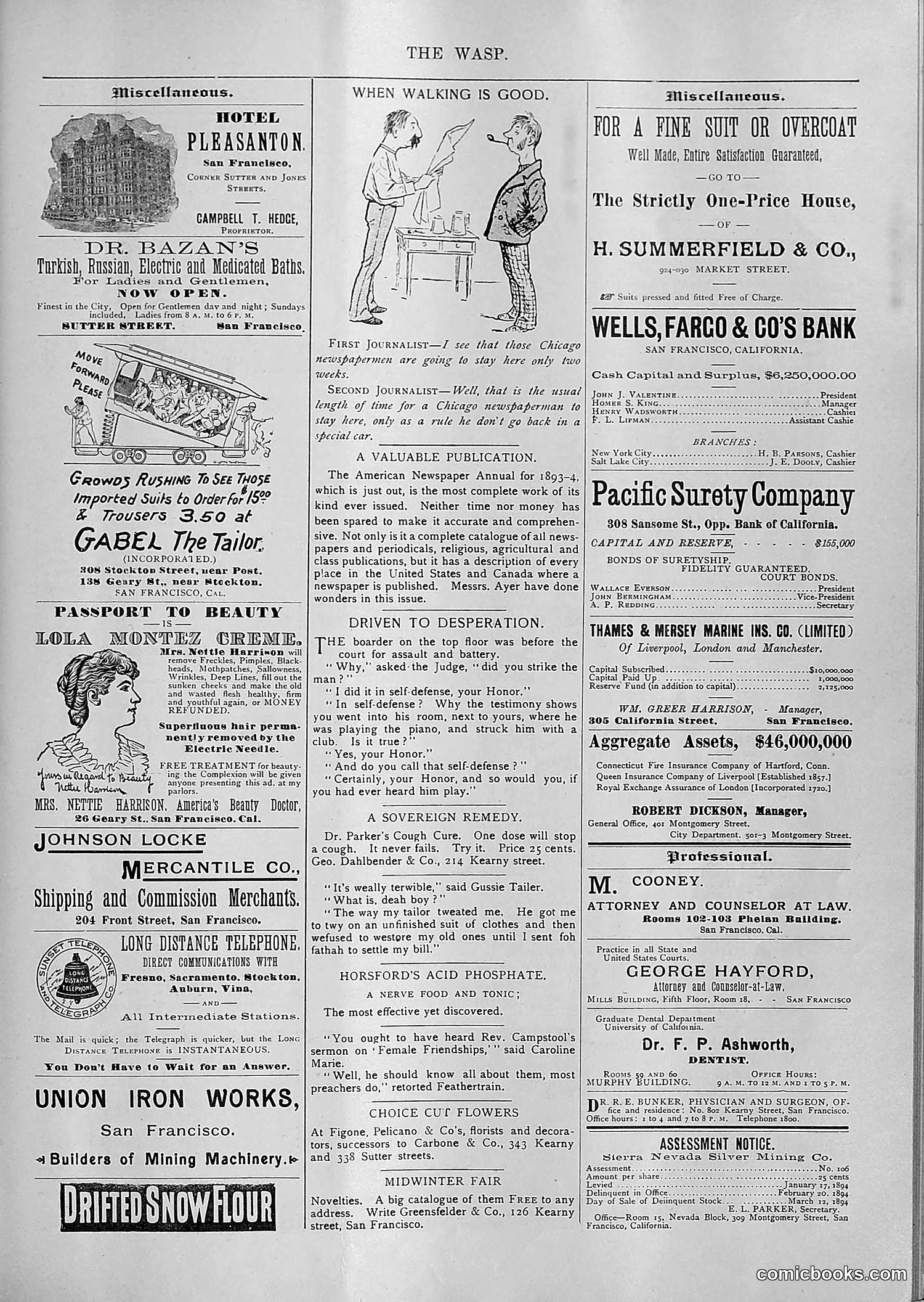 The Wasp — 1894 — page 84 of 552
