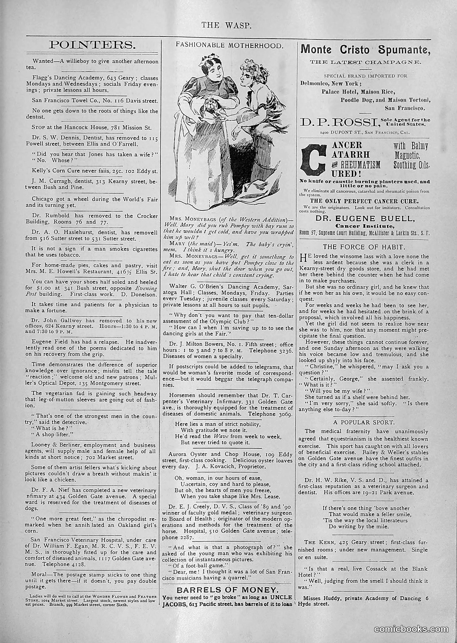 The Wasp — 1894 — page 86 of 552