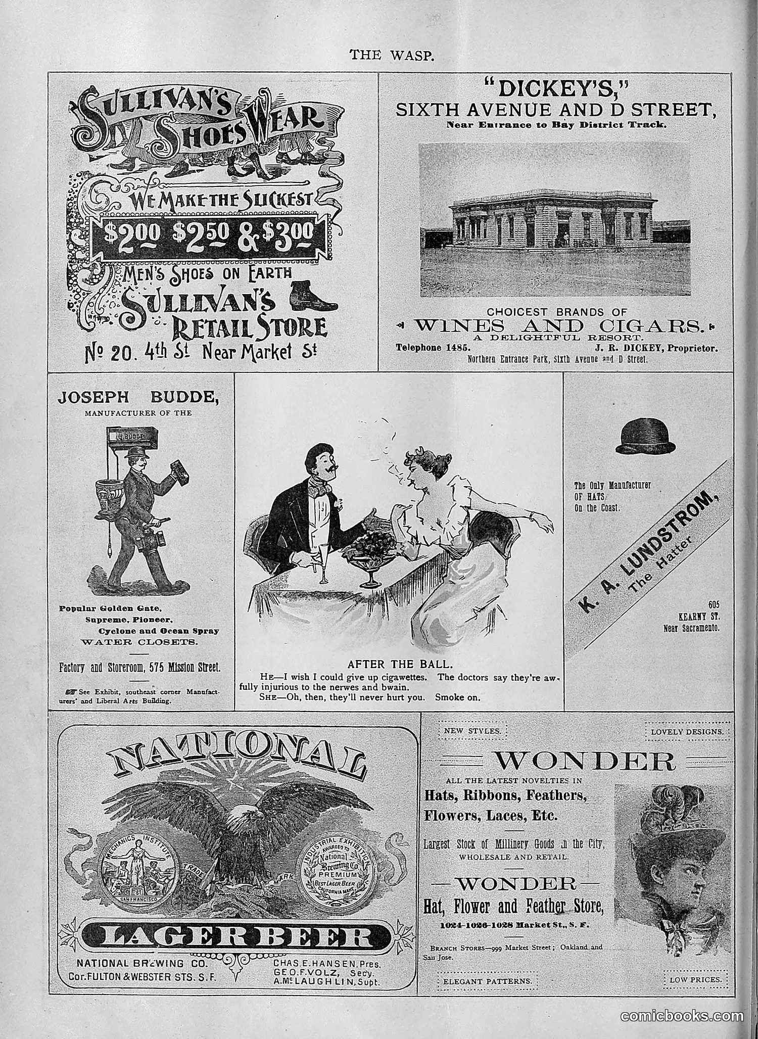 The Wasp — 1894 — page 91 of 552