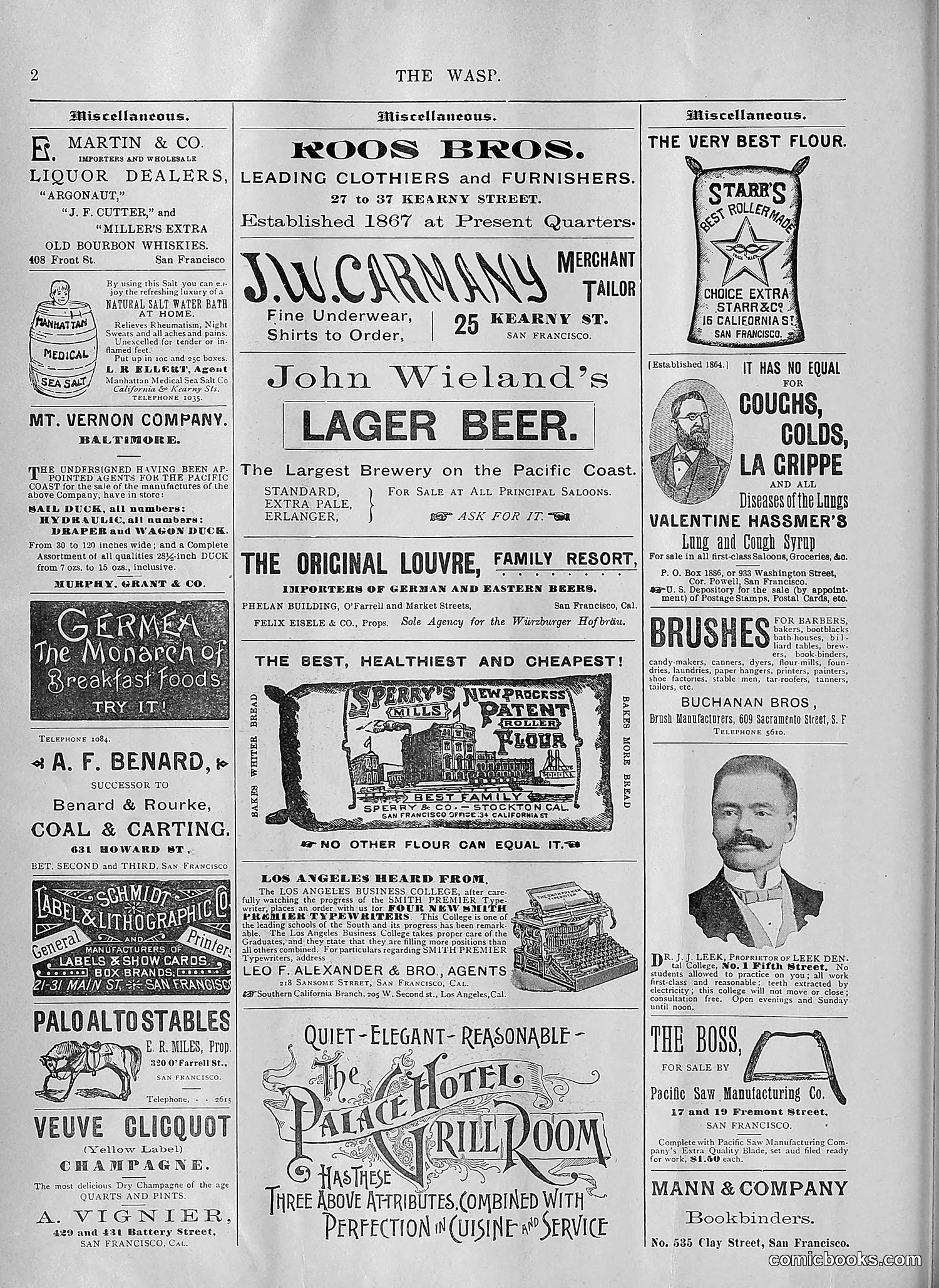 The Wasp — 1894 — page 93 of 552