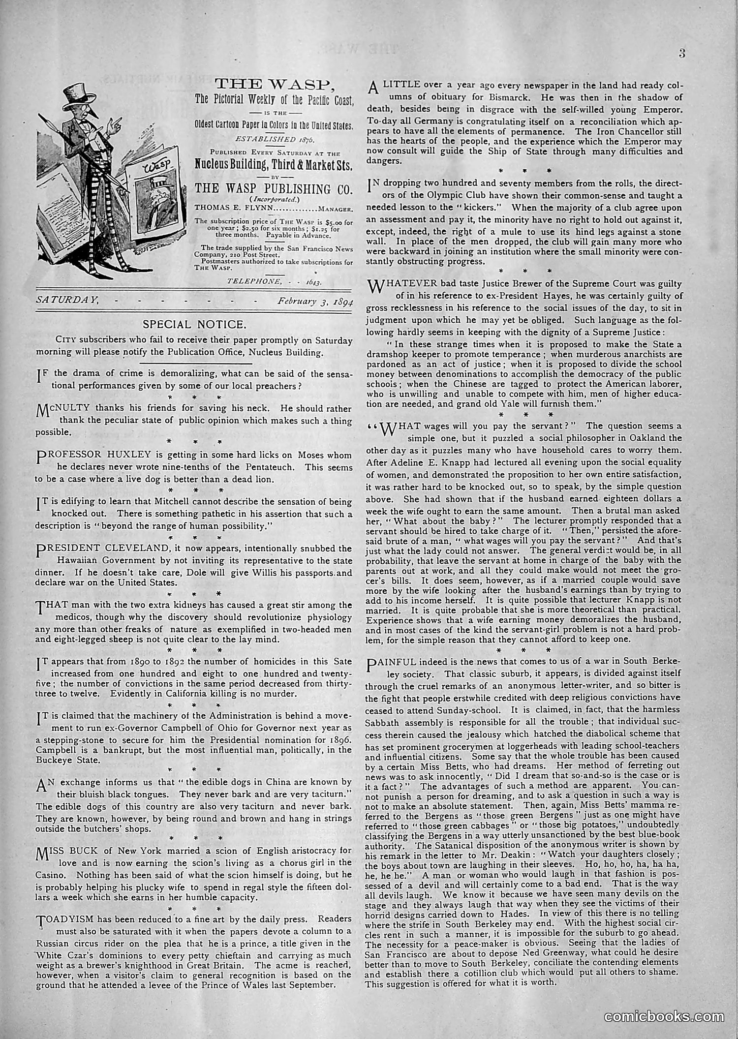 The Wasp — 1894 — page 94 of 552