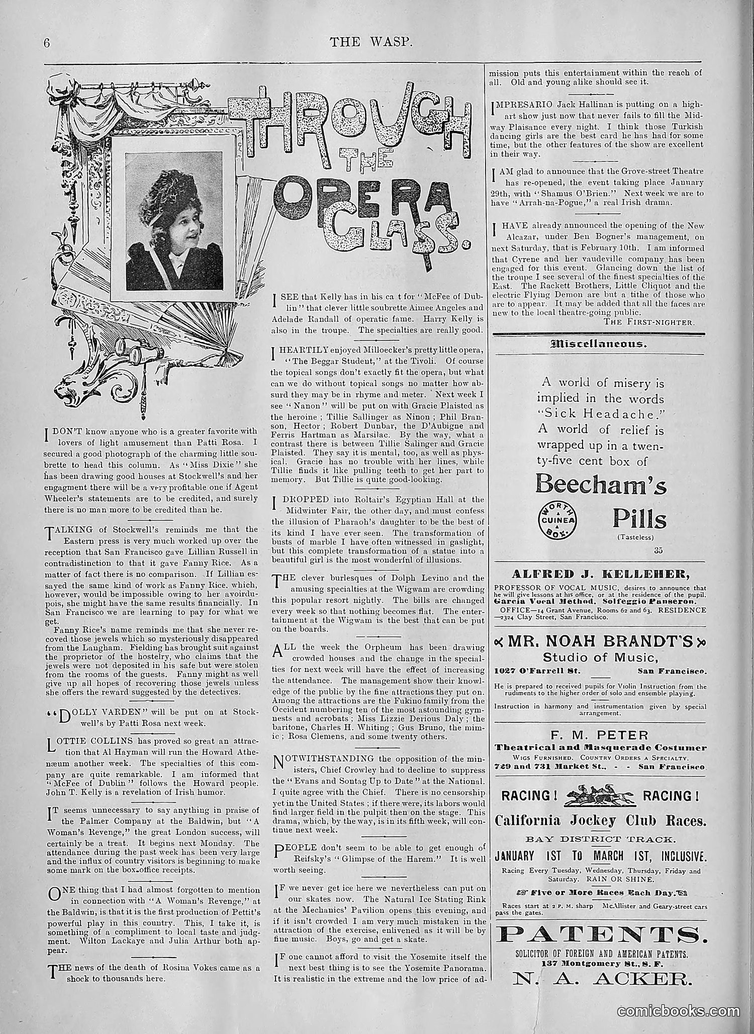 The Wasp — 1894 — page 97 of 552