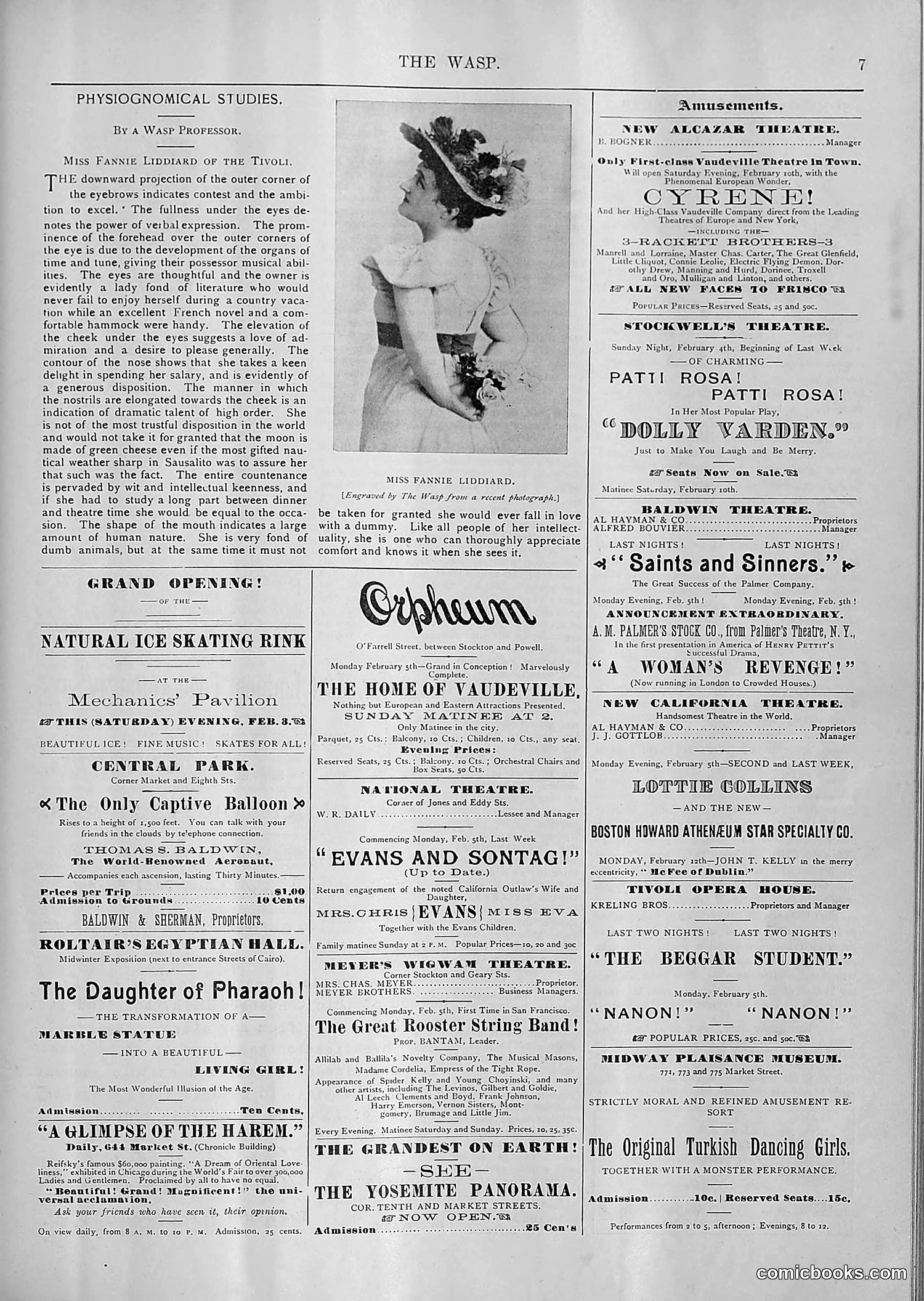 The Wasp — 1894 — page 98 of 552