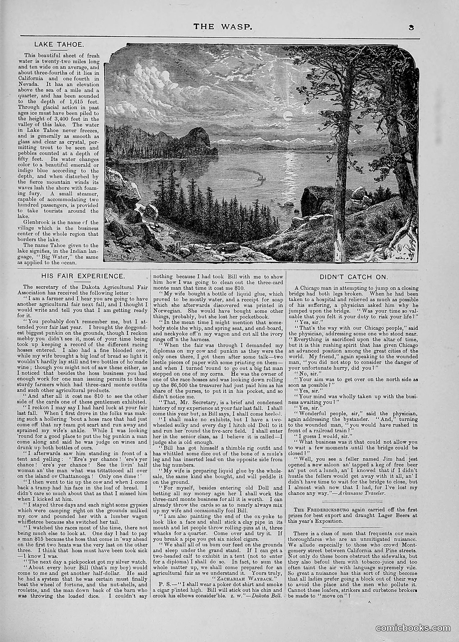 The Wasp — 1887 — page 106 of 512