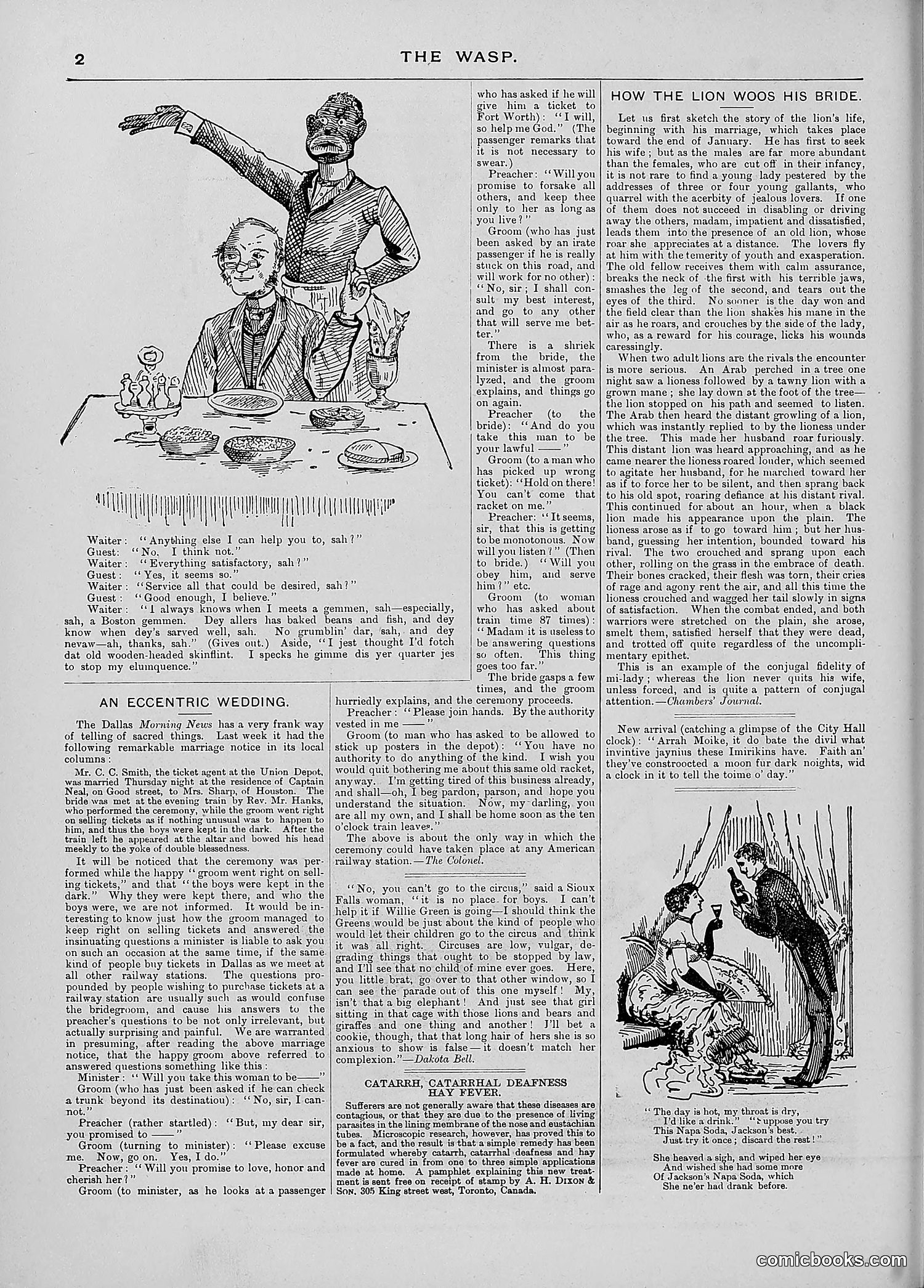 The Wasp — 1887 — page 125 of 512