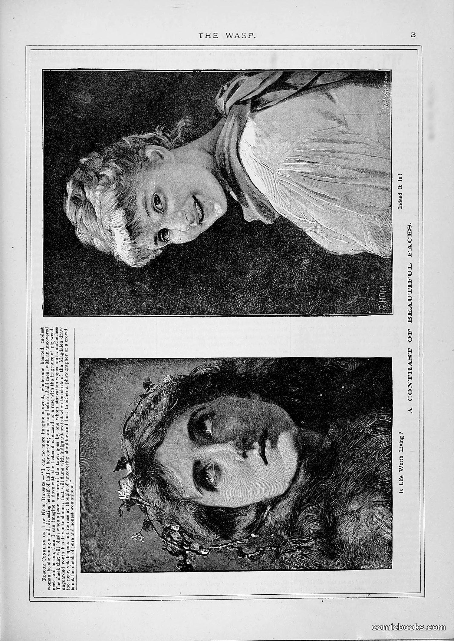 The Wasp — 1887 — page 146 of 512