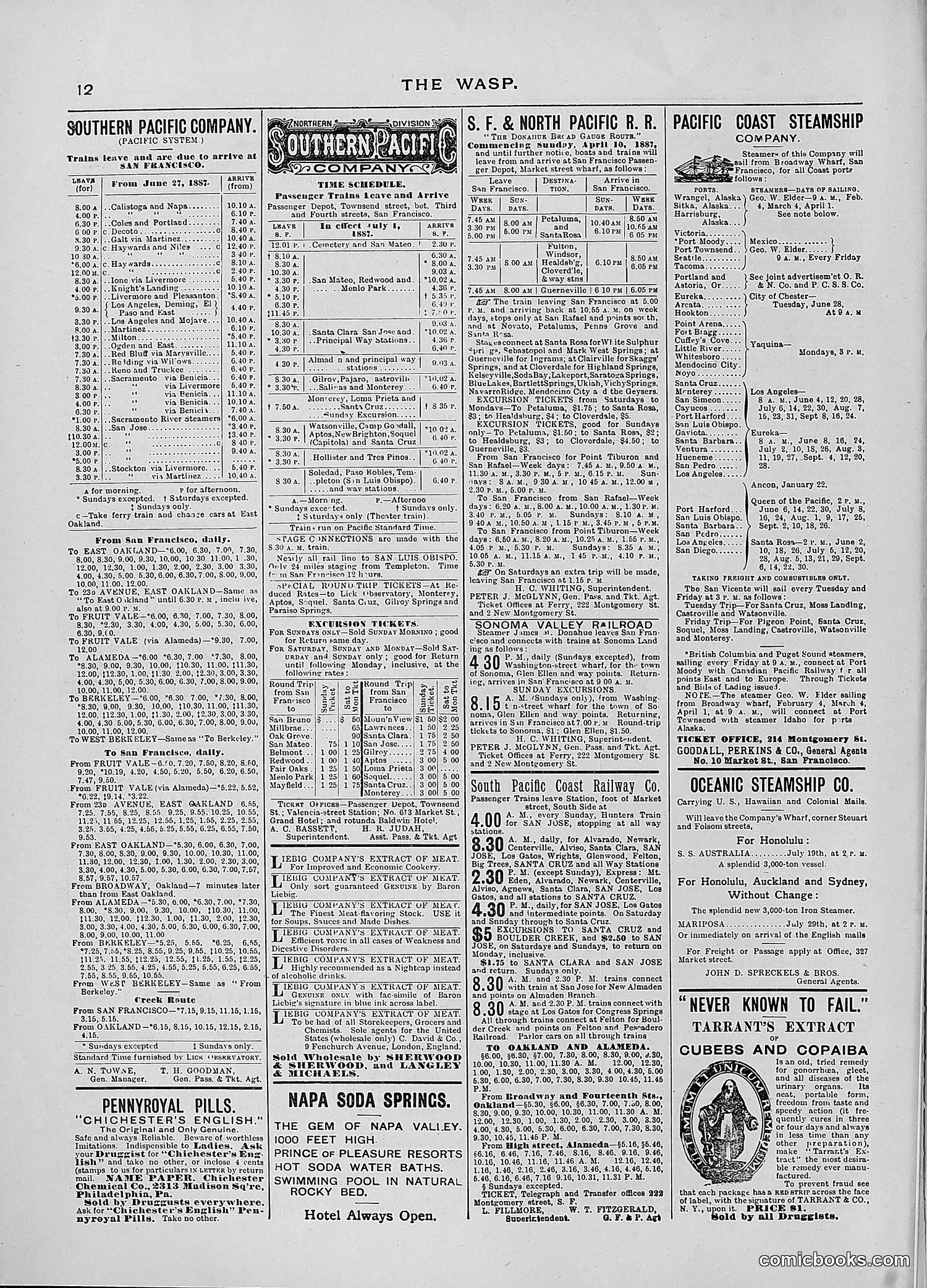 The Wasp — 1887 — page 17 of 512