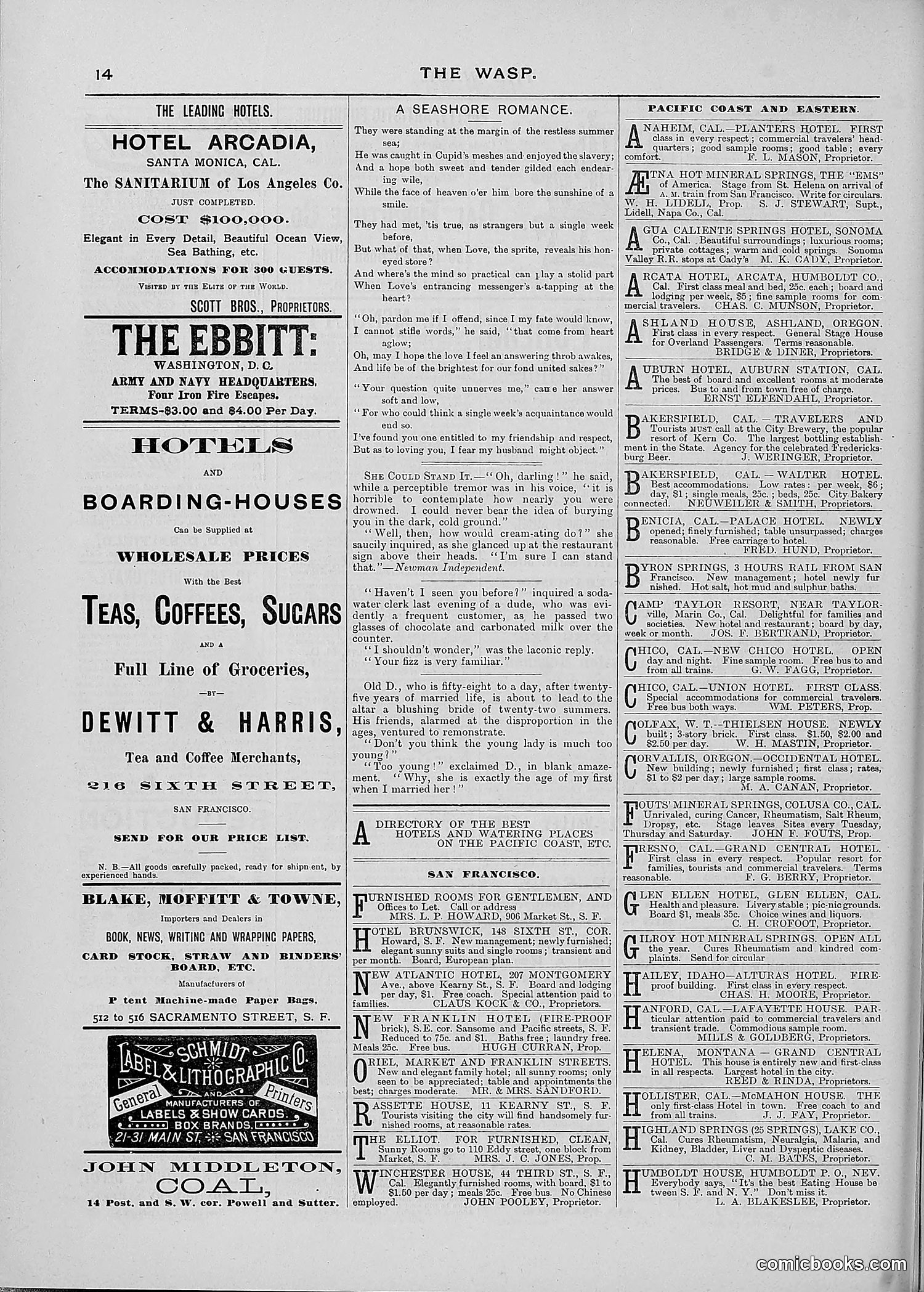 The Wasp — 1887 — page 171 of 512