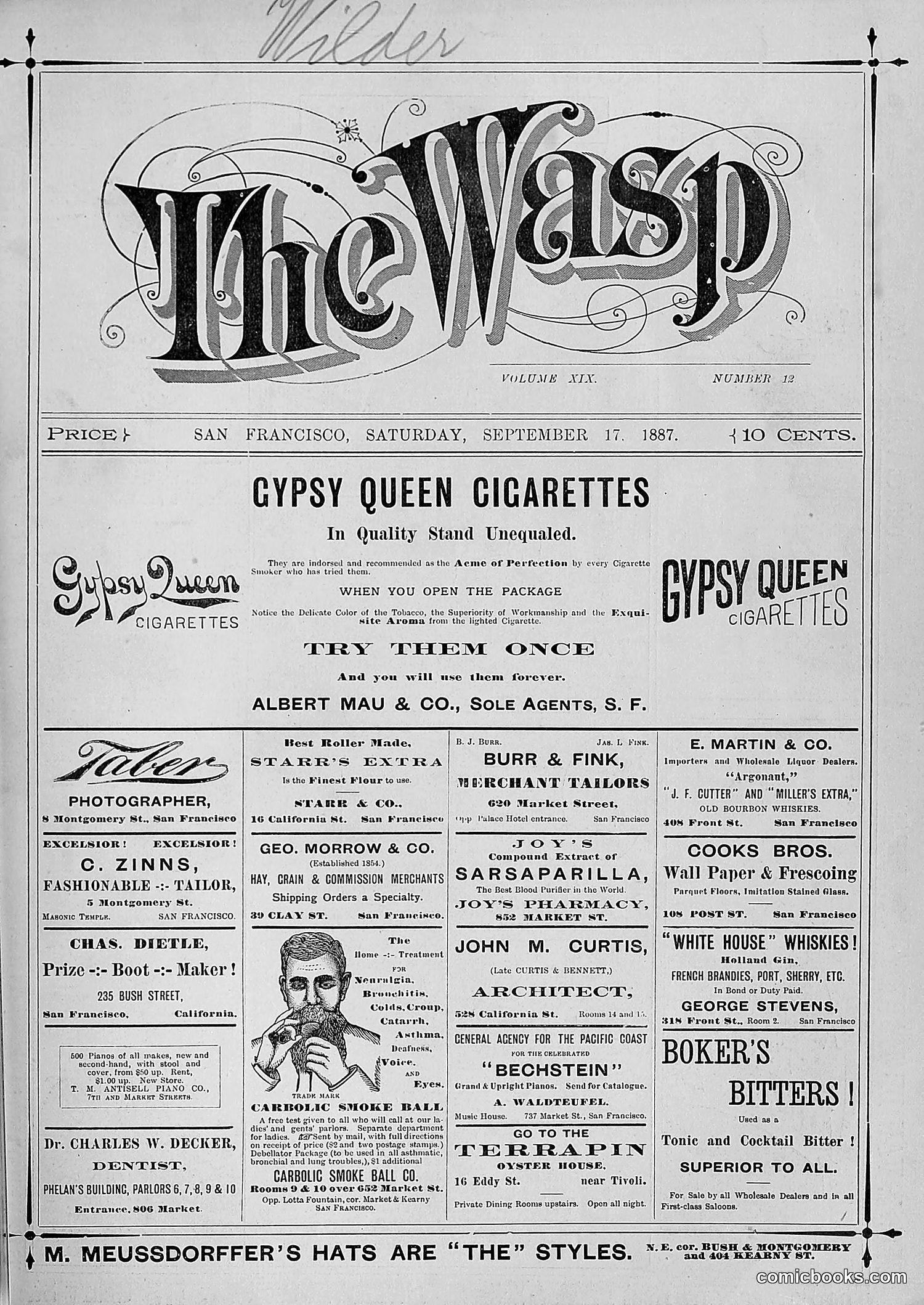 The Wasp — 1887 — page 206 of 512