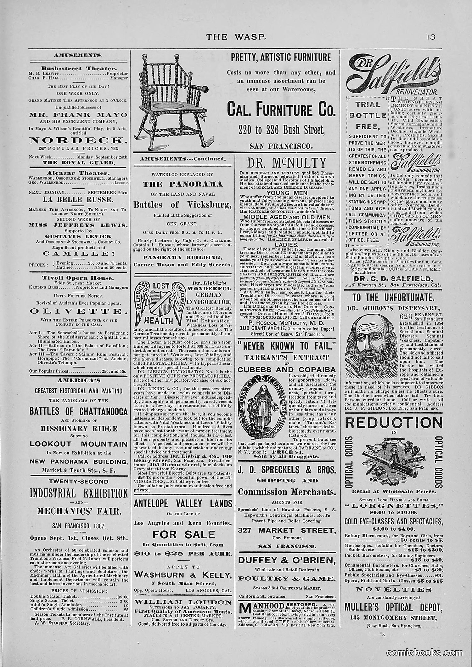 The Wasp — 1887 — page 232 of 512
