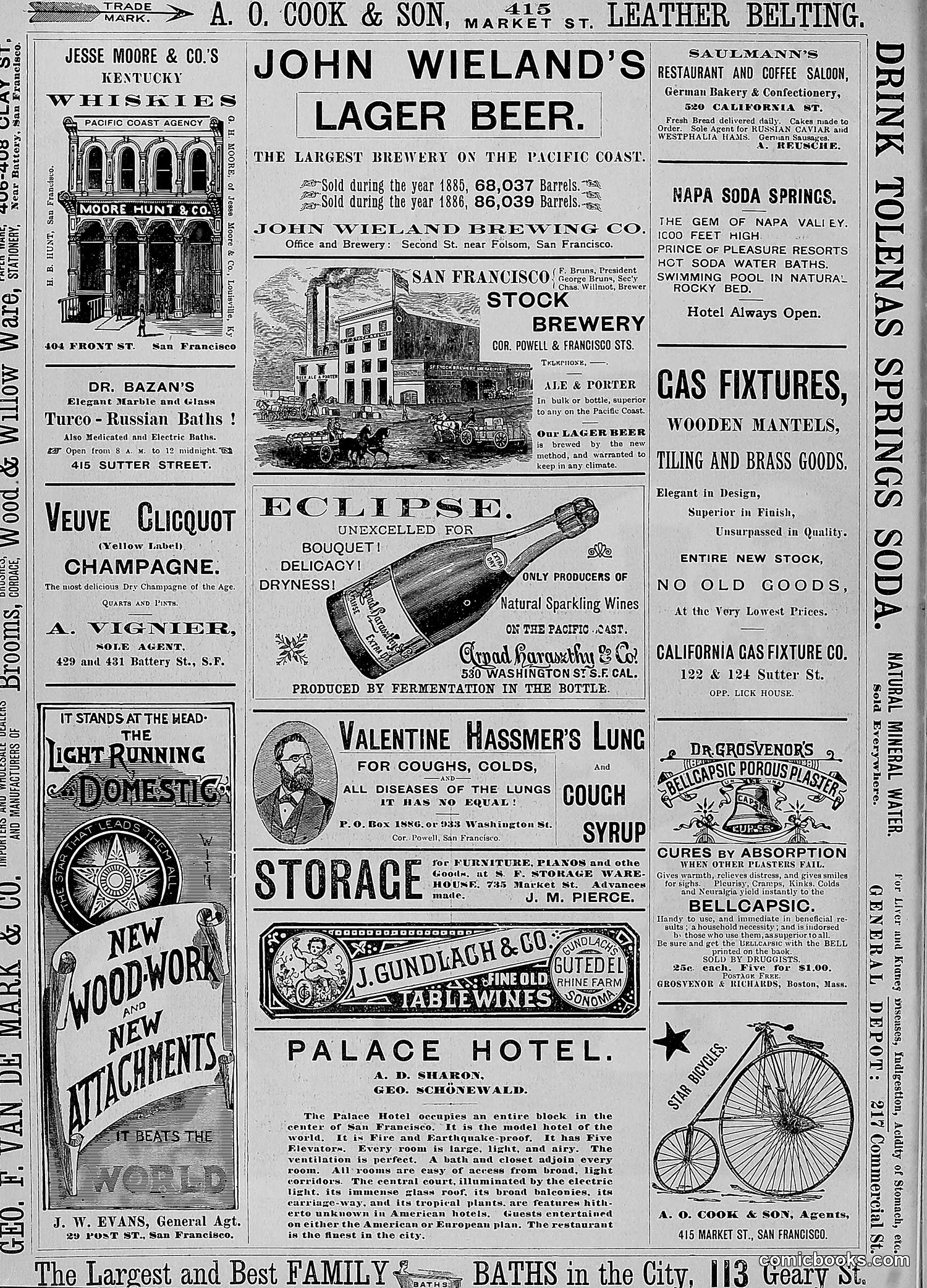 The Wasp — 1887 — page 25 of 512